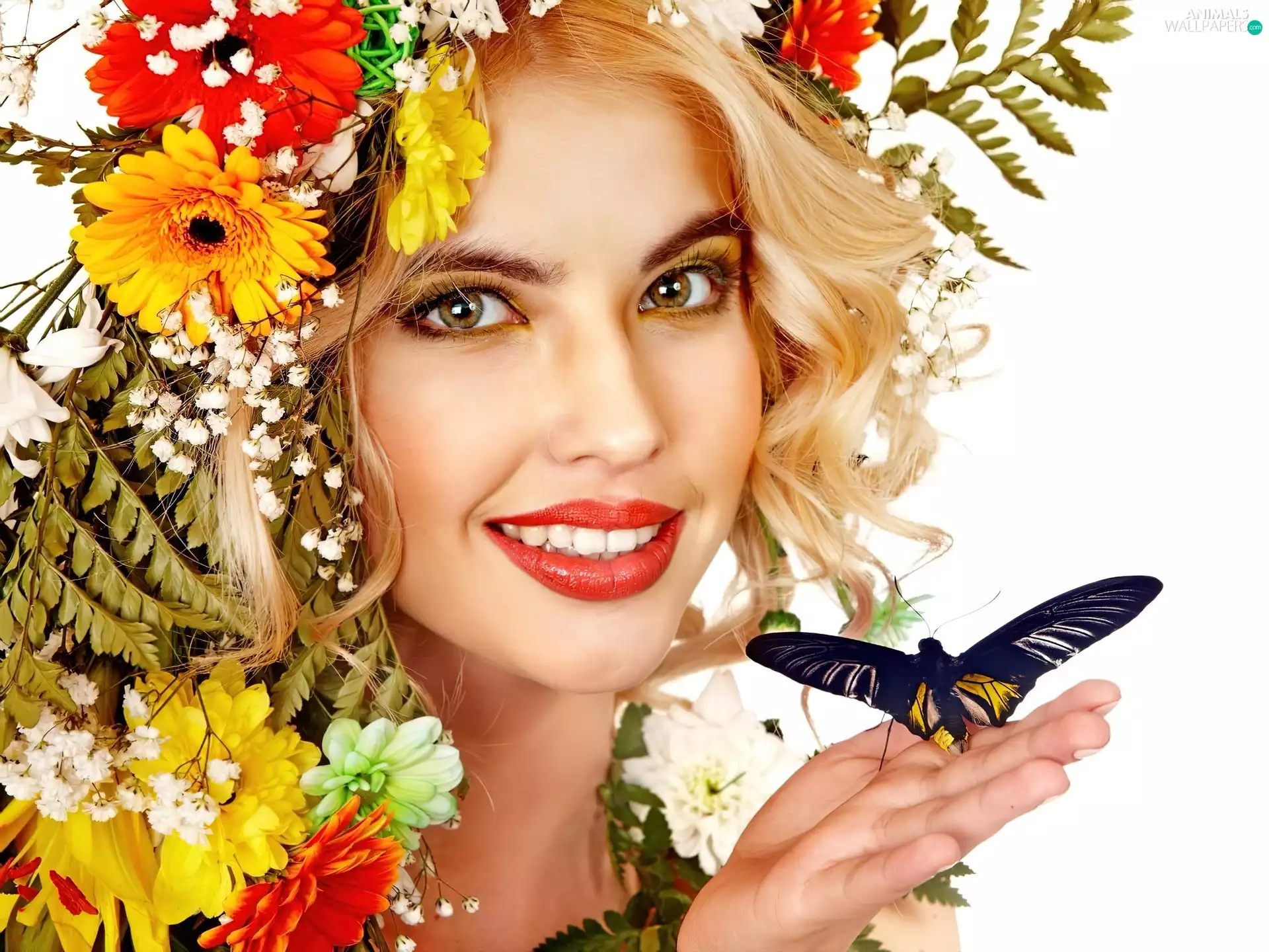 butterfly, Women, Spring