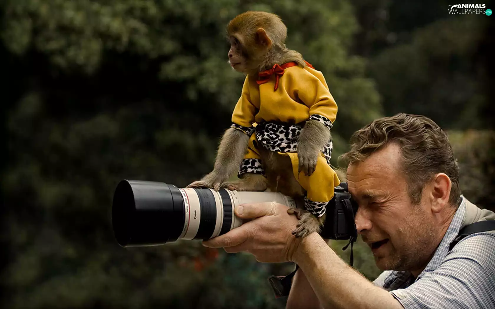 Monkey, a man, Camera
