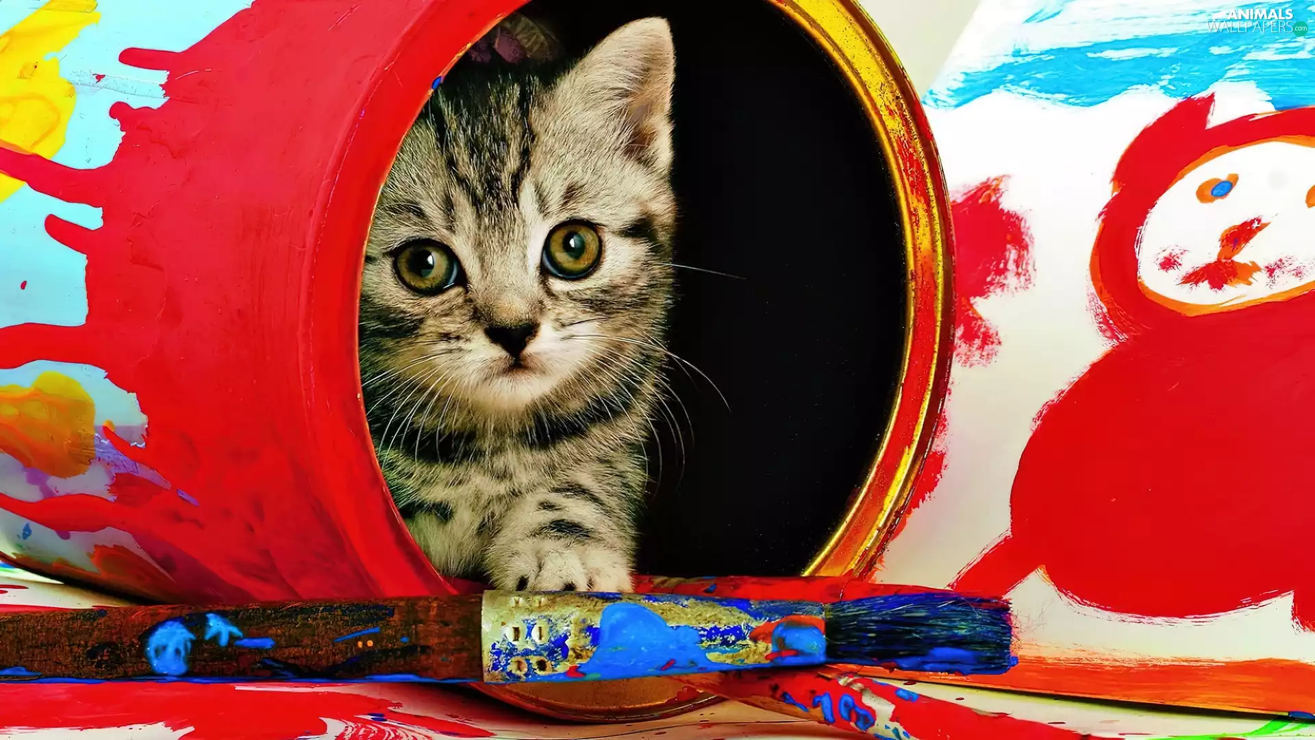 kitten, paint, brush, Can