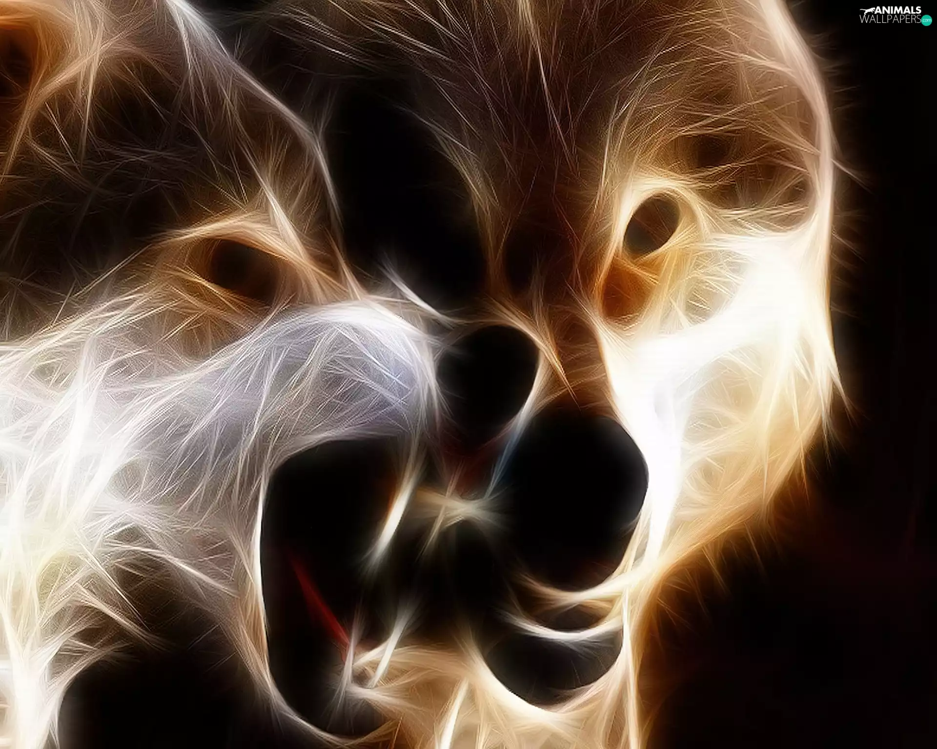 canines, wolves, mouths