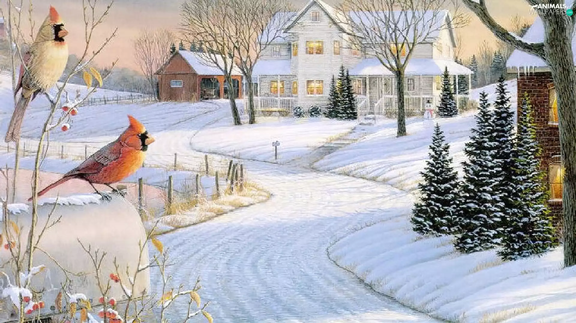 Two cars, Houses, Cardinals, winter, birds, Way