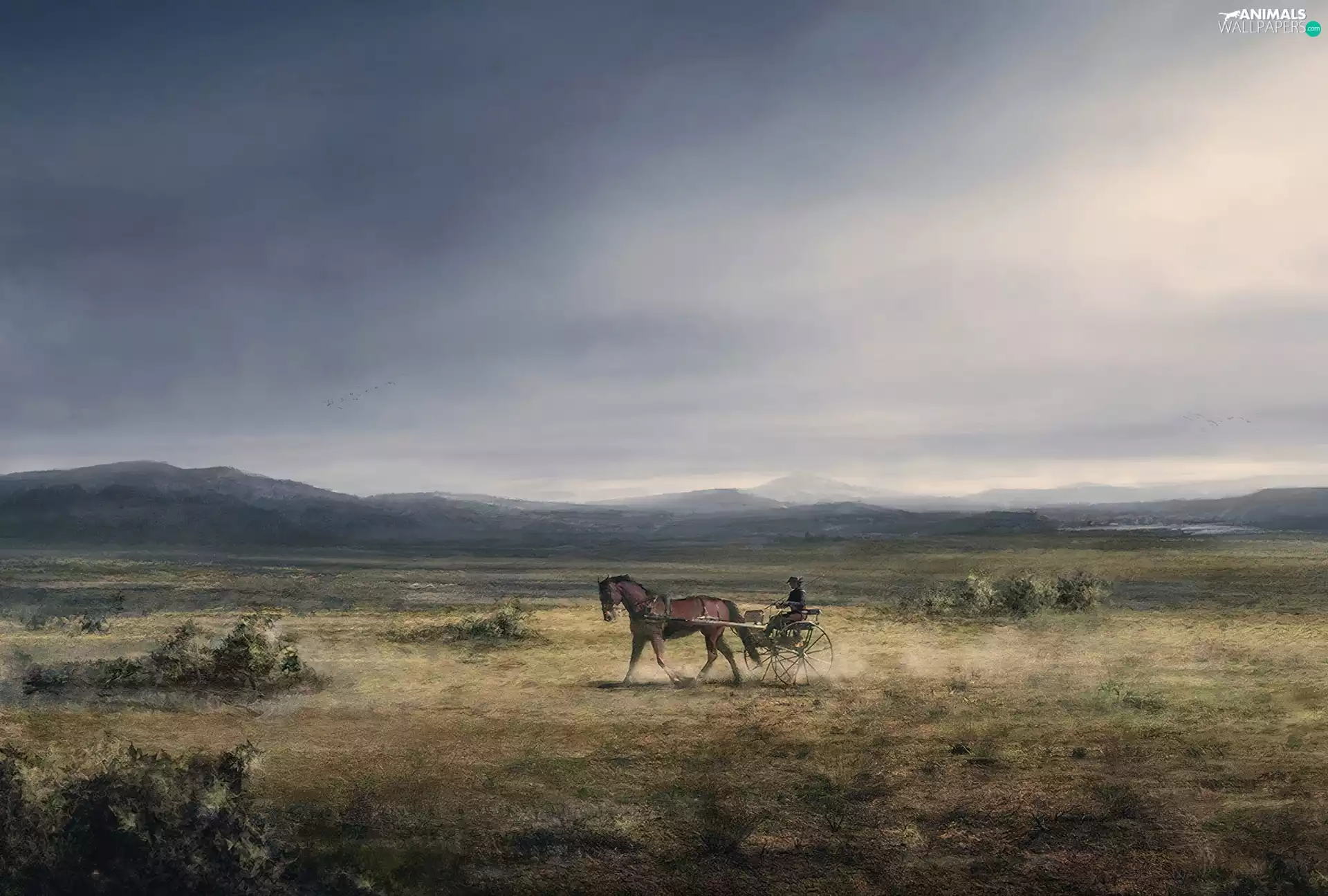 carriage, Mountains, Horse