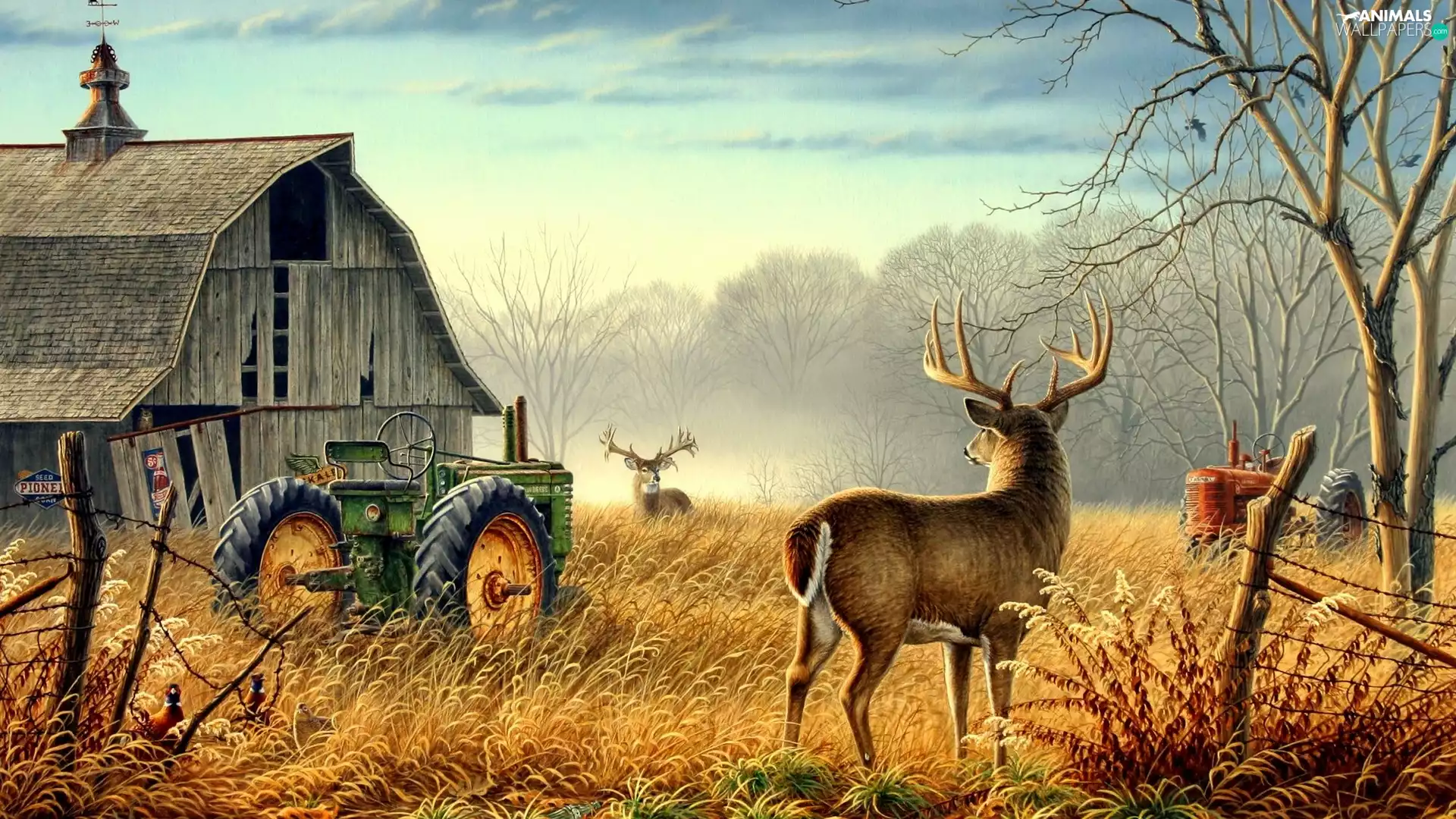 Two cars, Field, Tractor, Deer