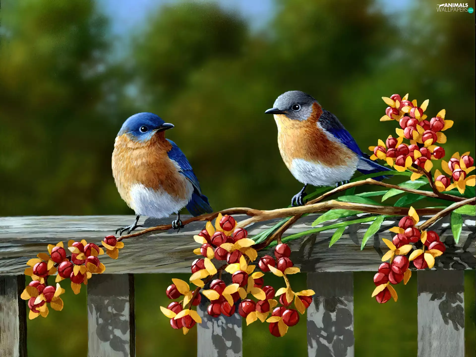 Two cars, Flowers, painting, birds