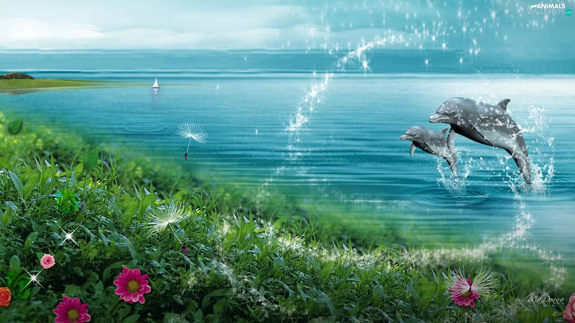 Two cars, sea, Flowers, dolphins