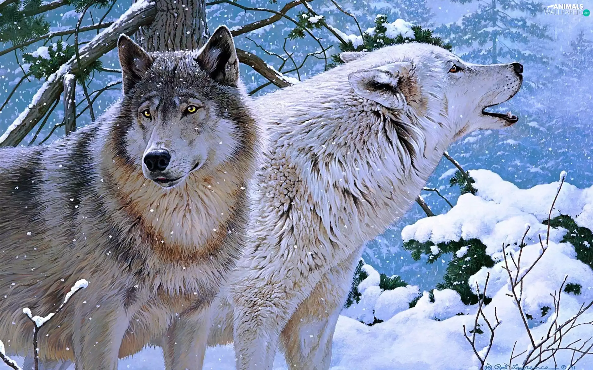 wolves, winter, Two cars