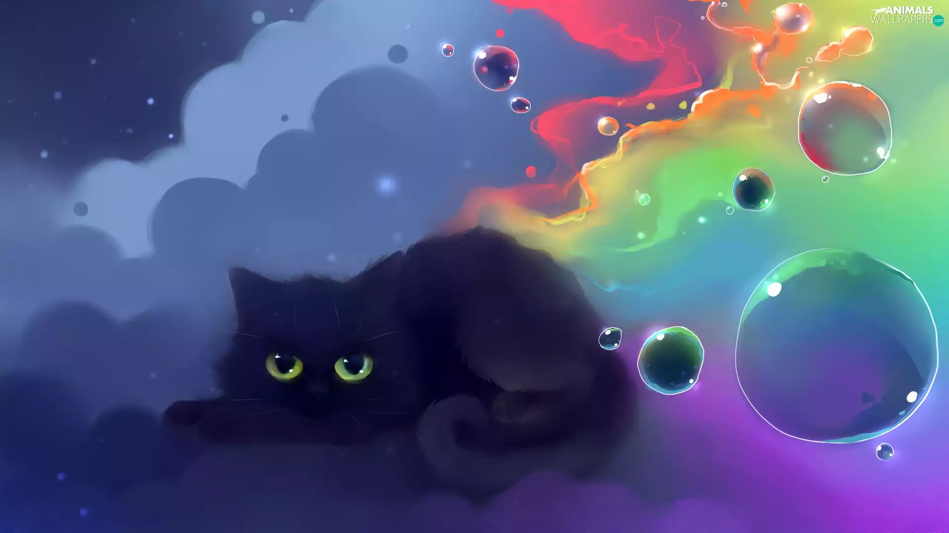 cat, 3D Bubbles