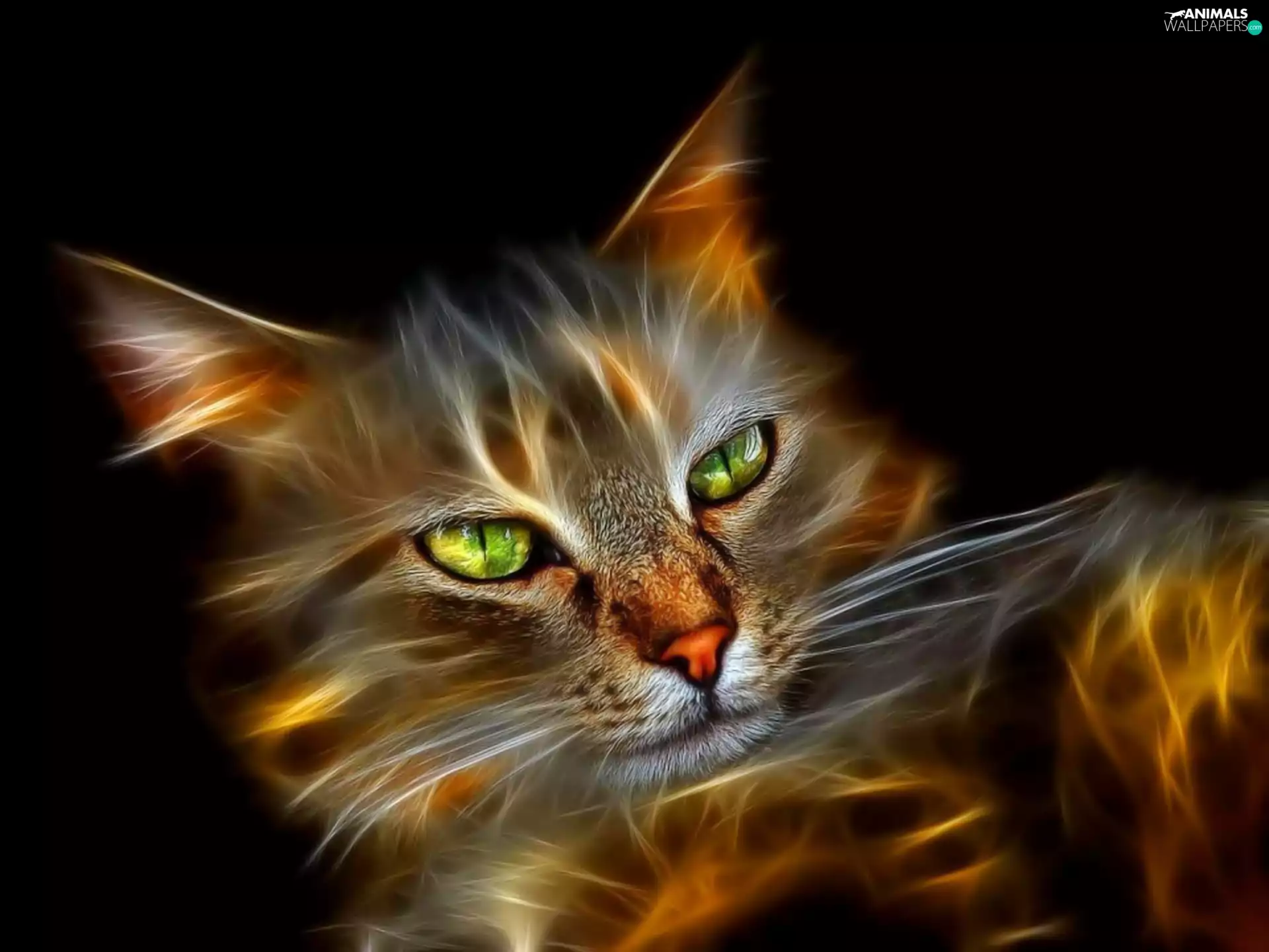 cat, Fractalius