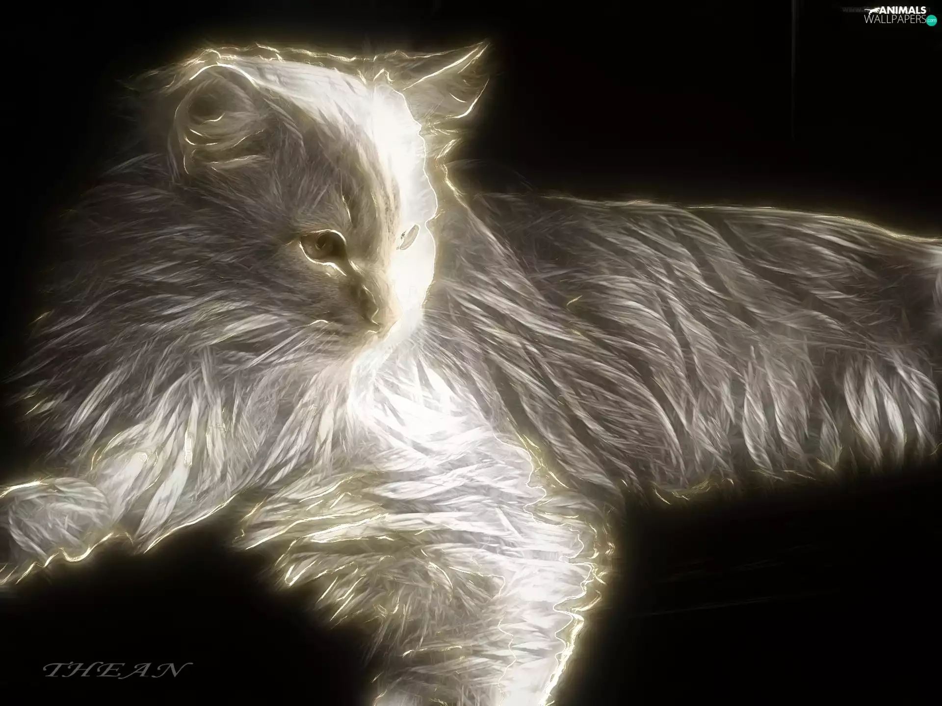 cat, Fractalius