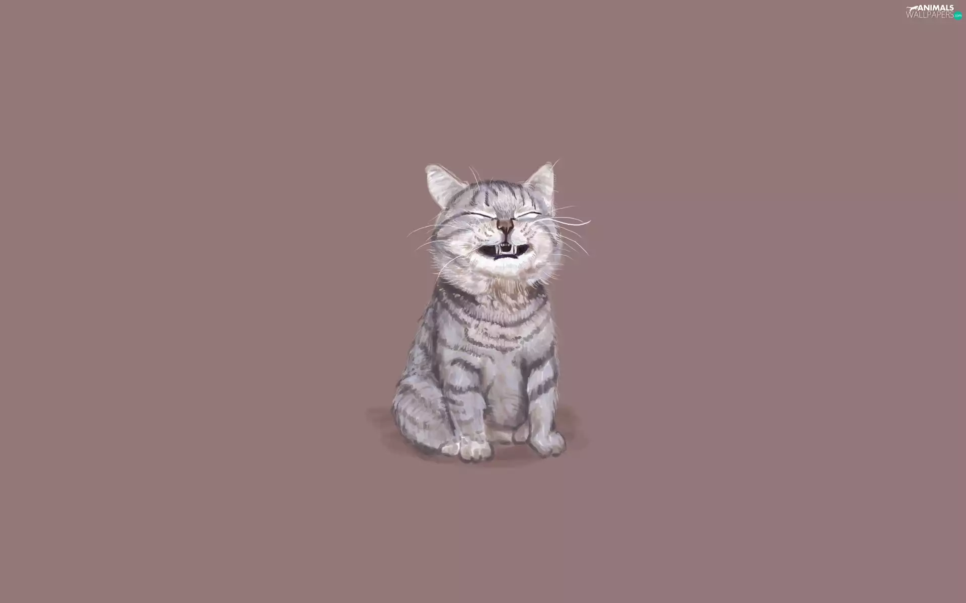 cat, 2D Graphics