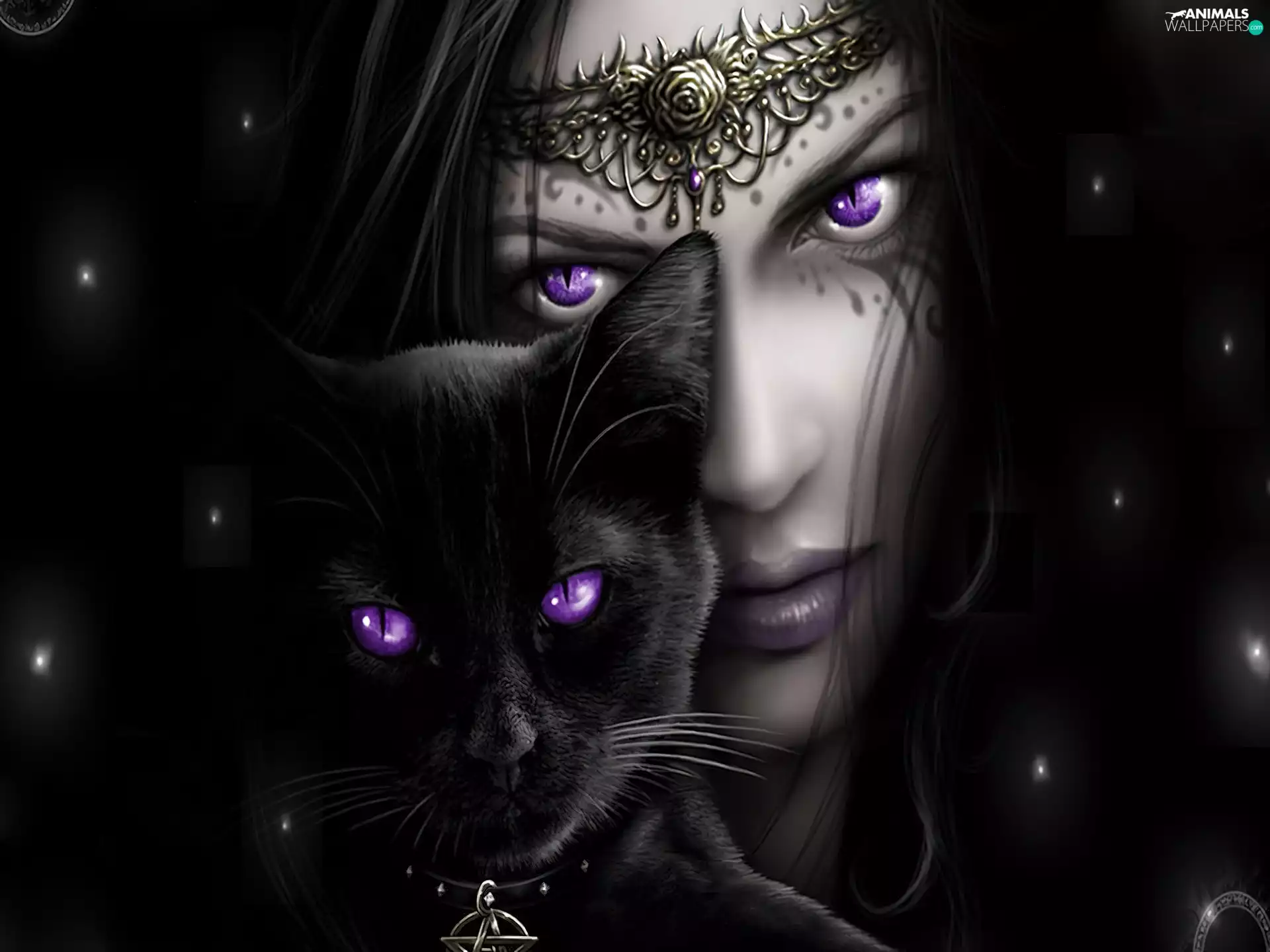Women, purple, Eyes, cat