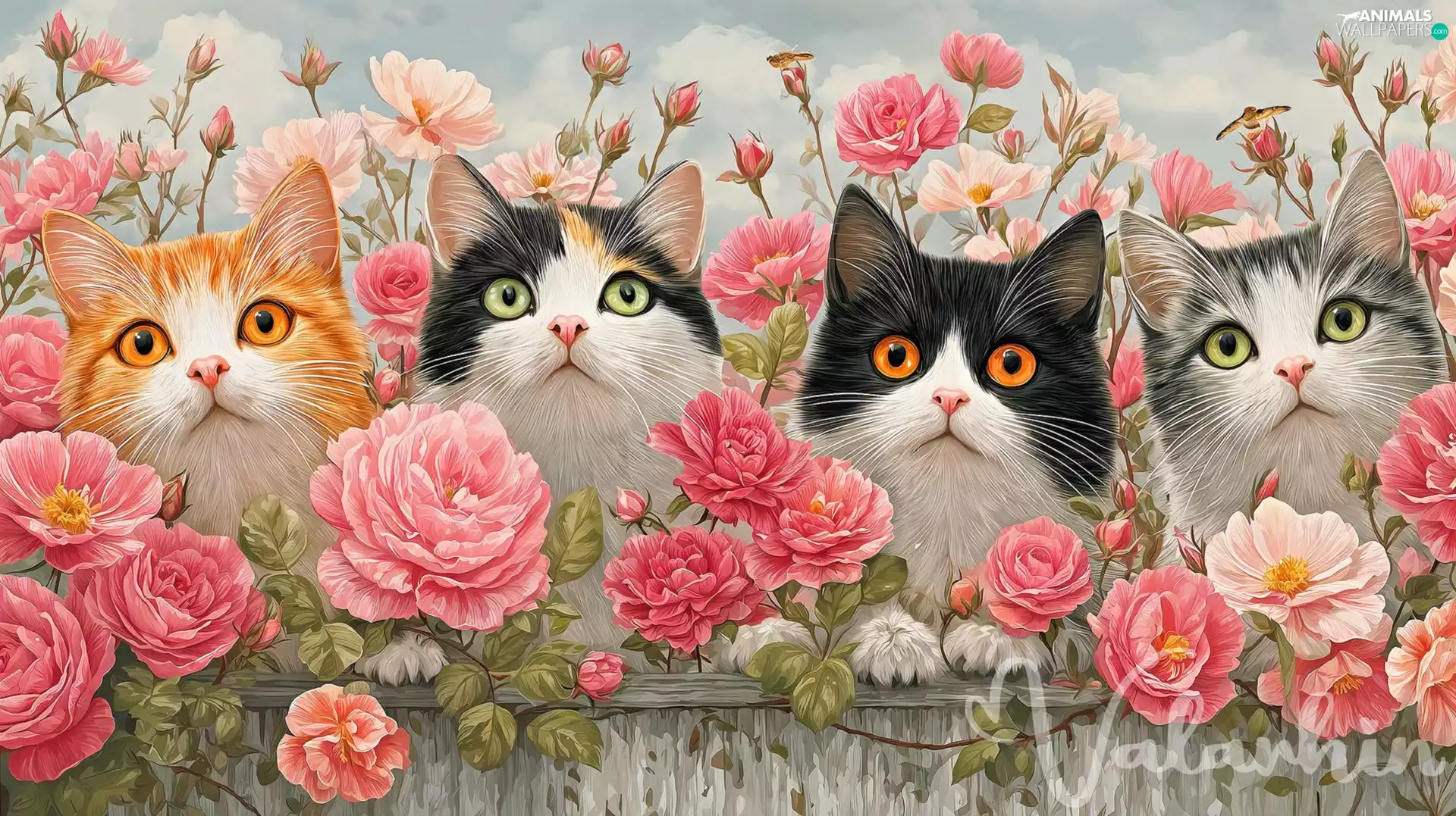 four, roses, Fance, cats