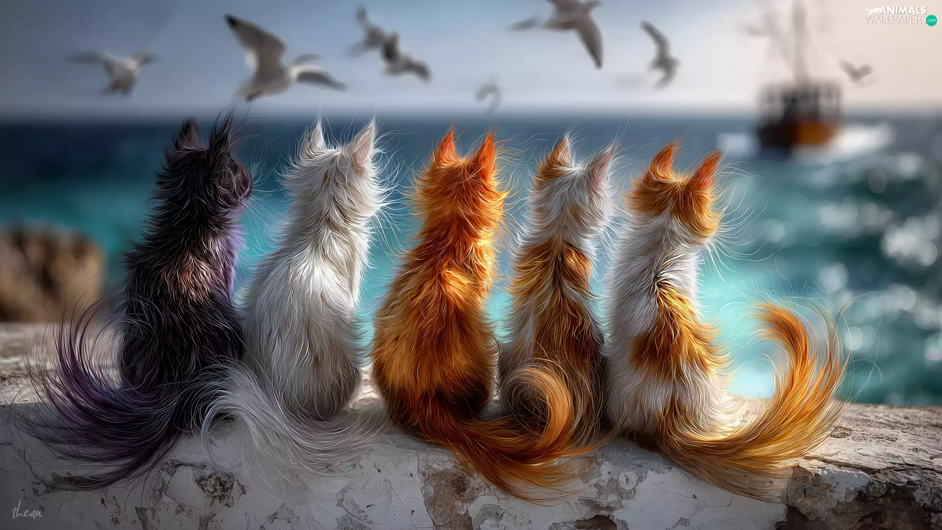ledge, cats, graphics, cats, five, sea, Ai
