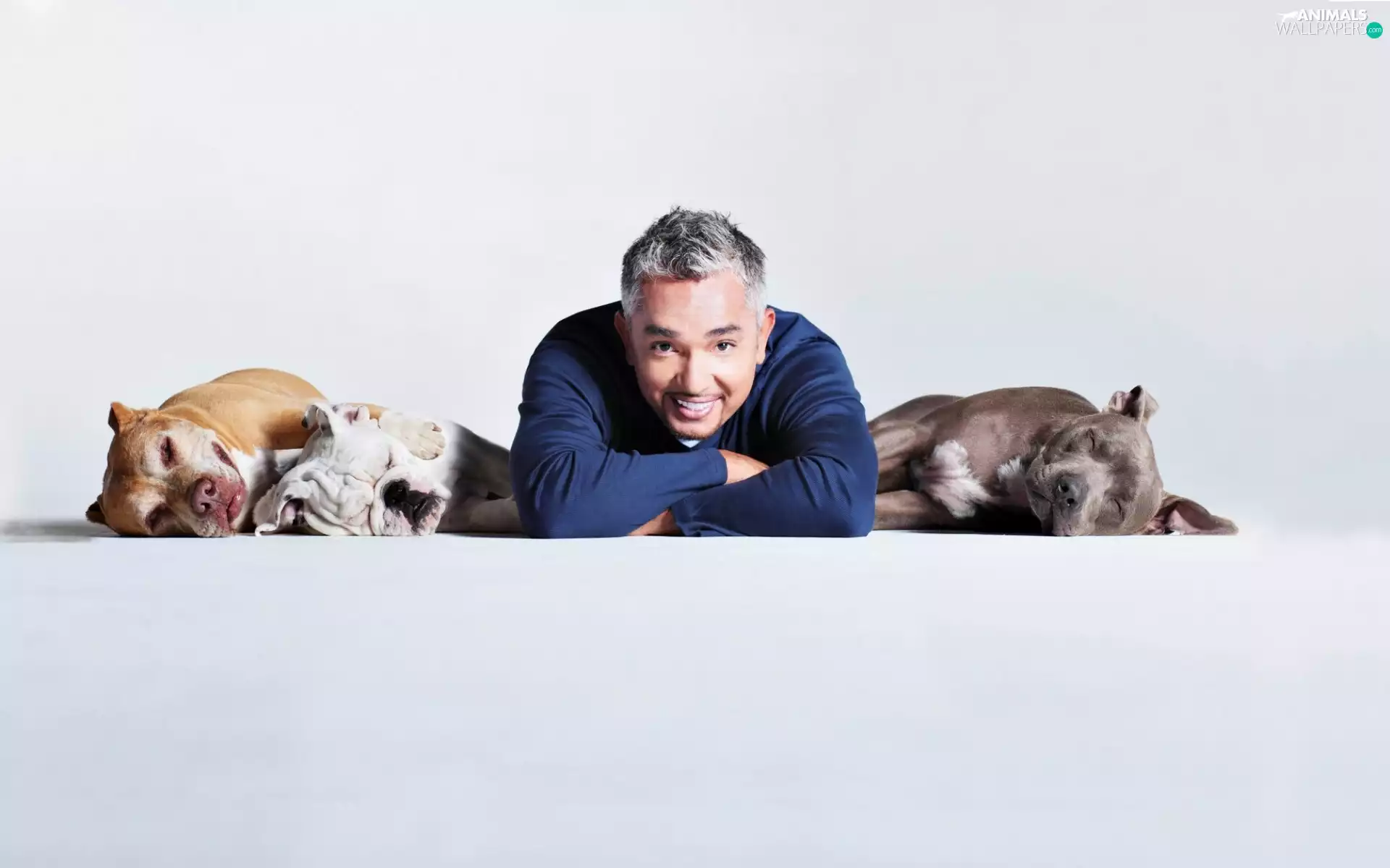 Cesar Millan, Dogs