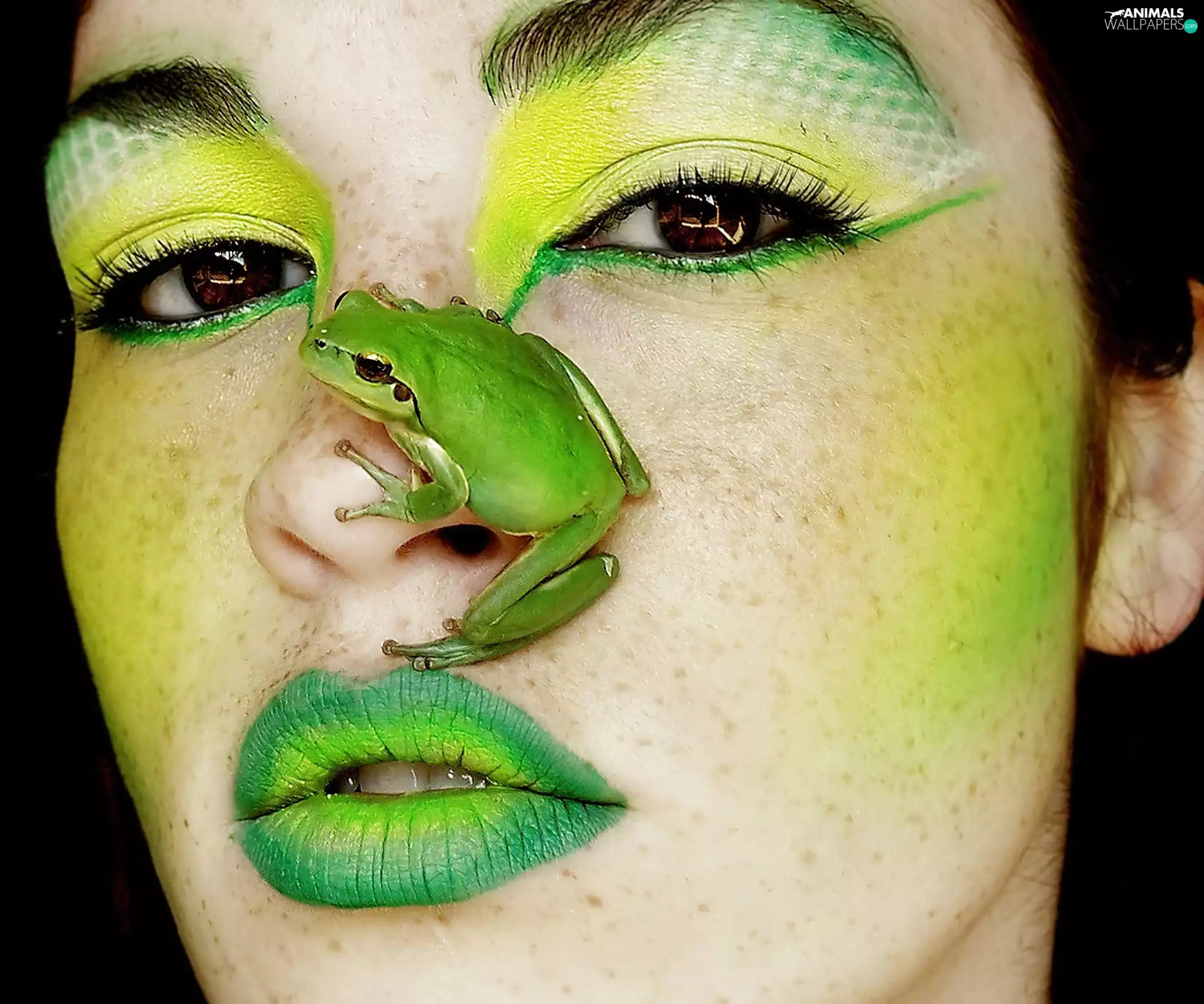 strange frog, Women, characterization