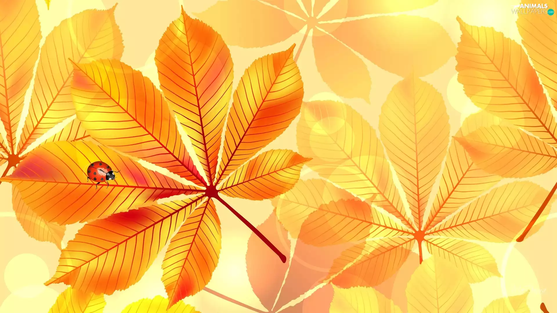 Leaf, ladybird, graphics, chestnut