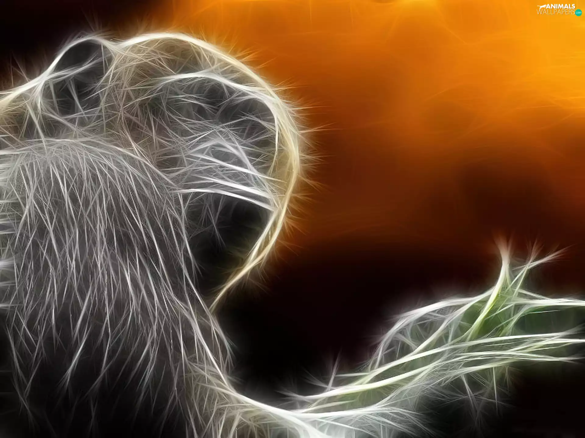 chimpanzee, graphics