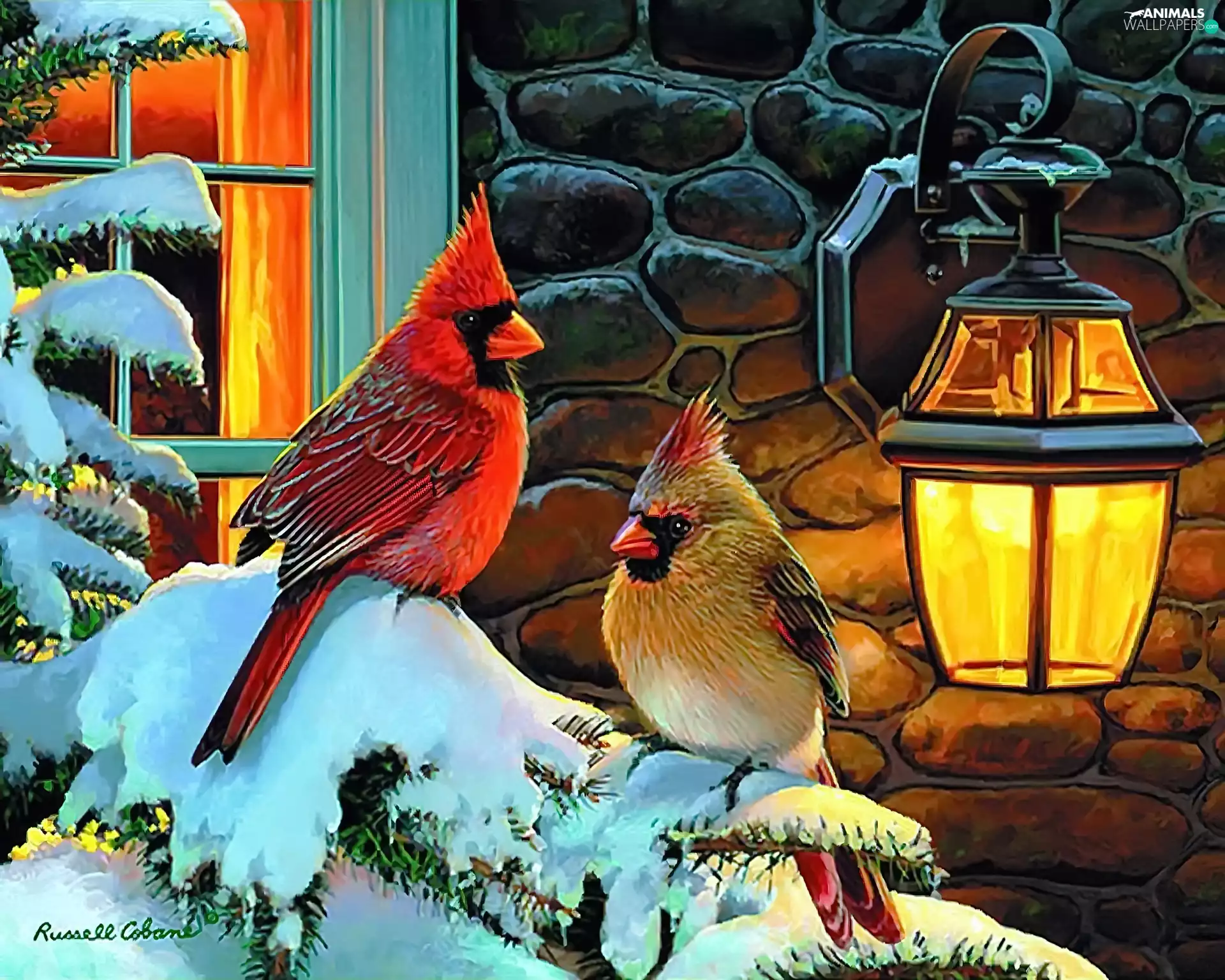 Snowy, Christmas, Cardinals, winter, birds