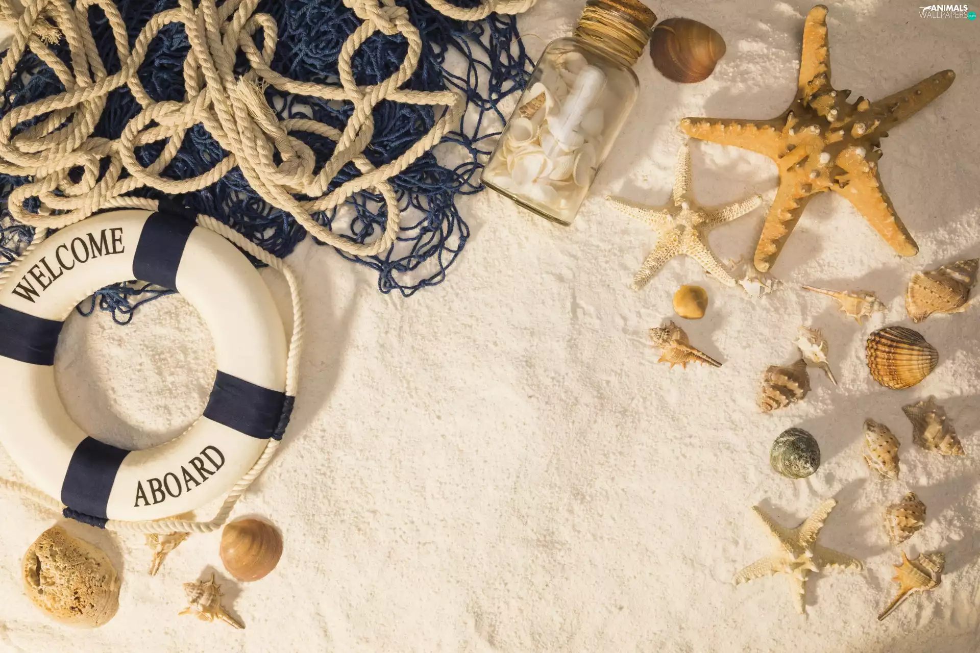 circle, Sand, rescue, ropes, Shells, composition, Bottle, starfish, net