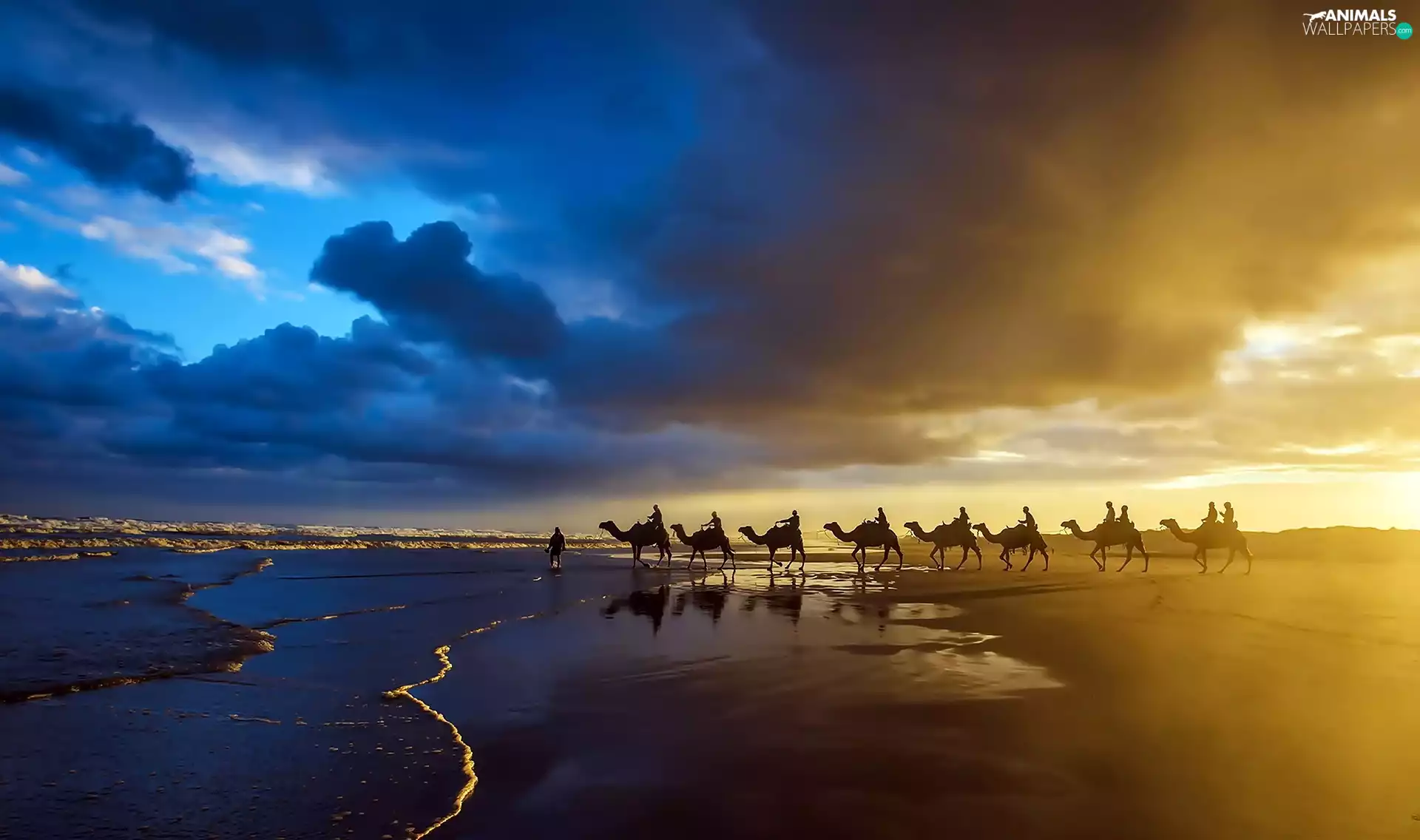 caravan, sea, sun, clouds, west, coast