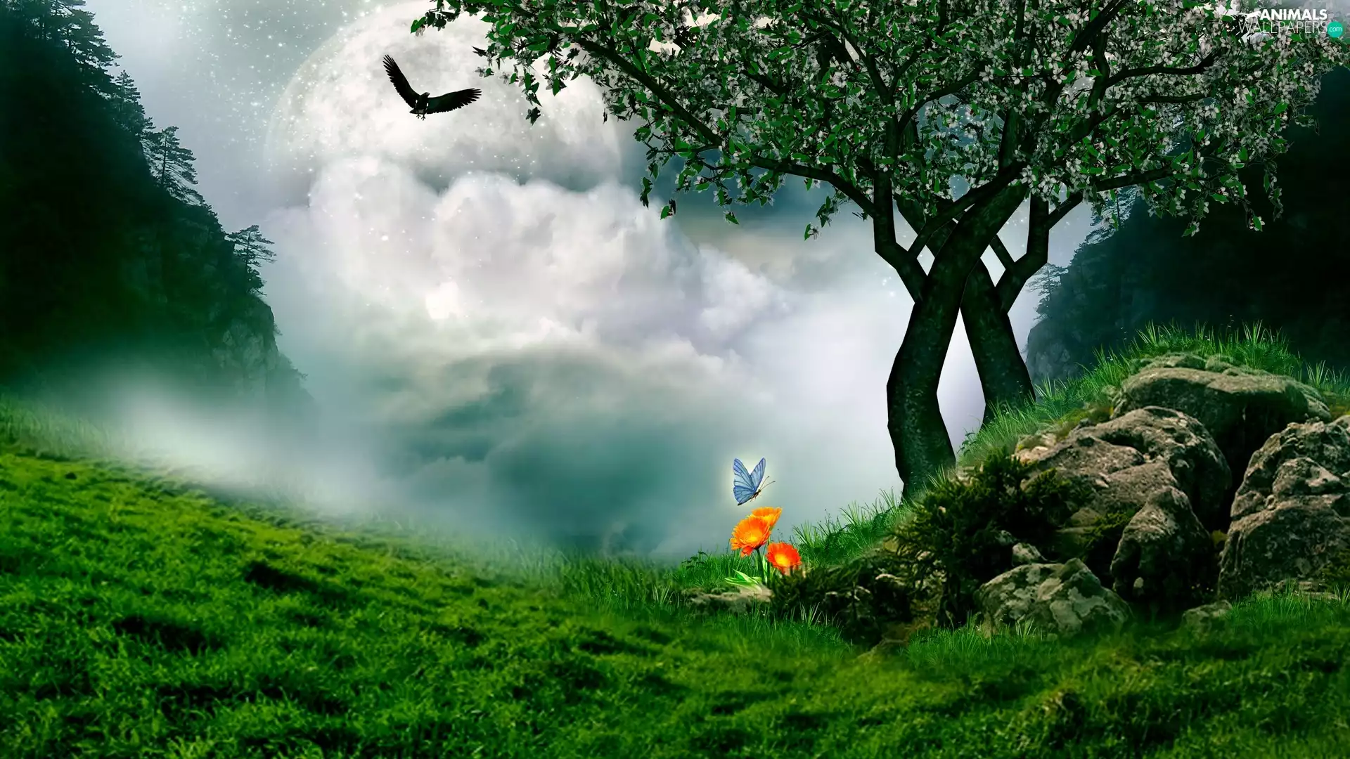 Bird, butterfly, Meadow, clouds, trees, Flower