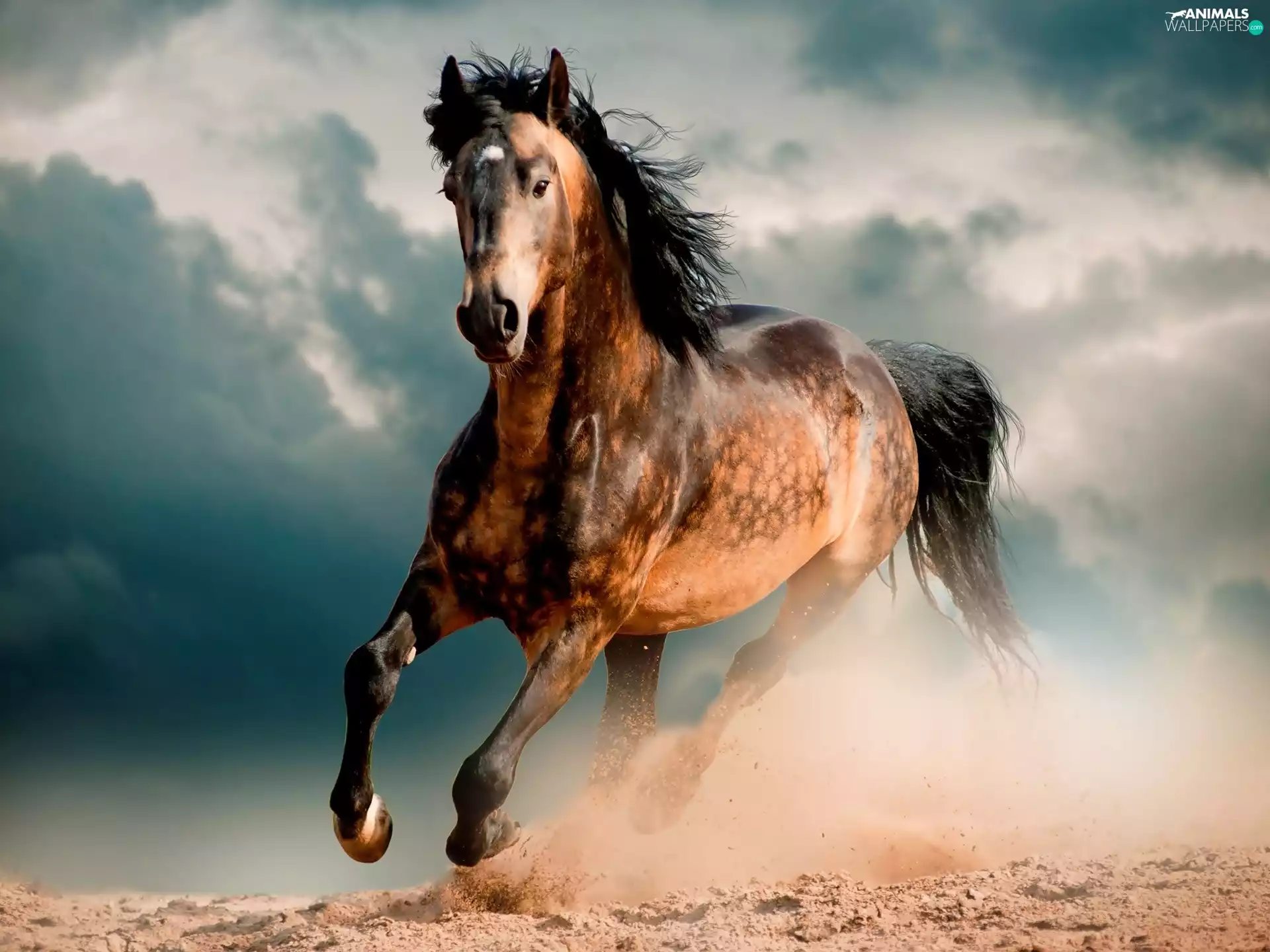 clouds, Horse, gallop