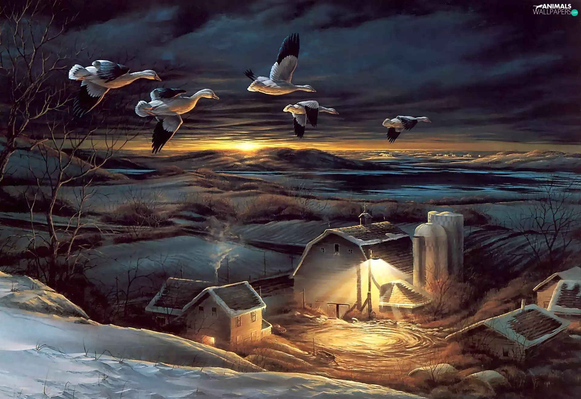 buildings, Wild, viewes, clouds, trees, geese