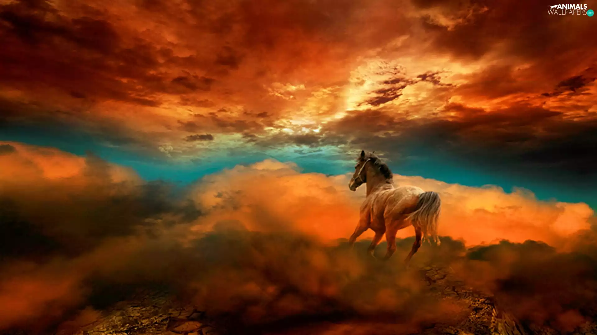 Horse, west, sun, clouds