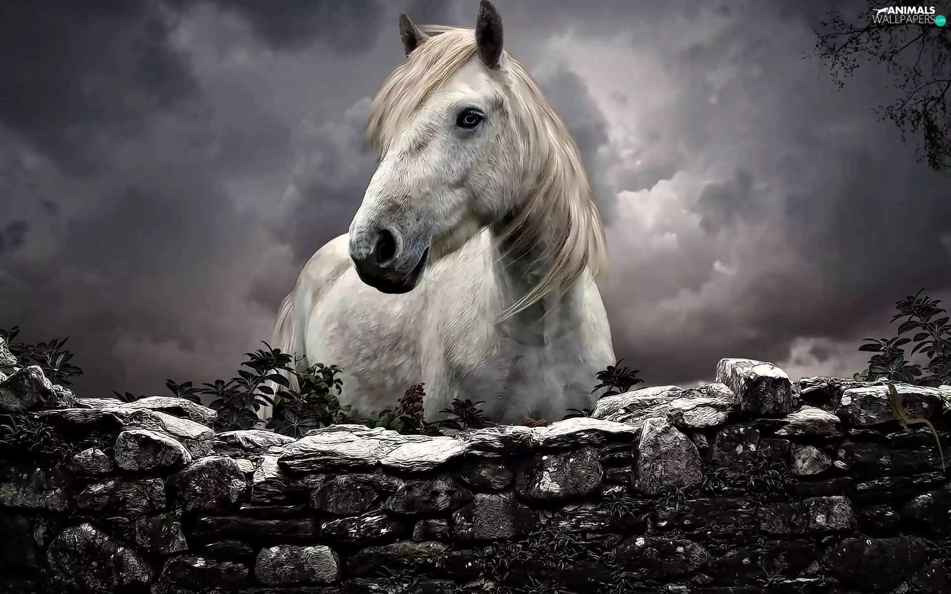 fence, clouds, Horse, stone, White