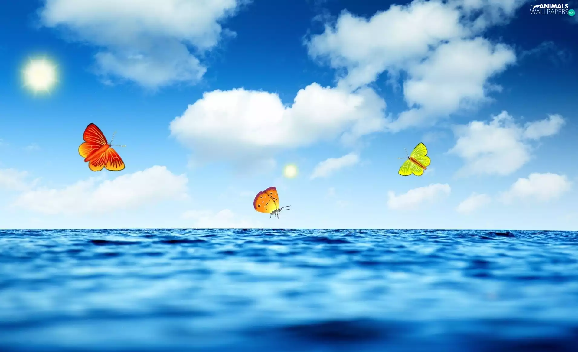 sea, sun, butterfly, clouds