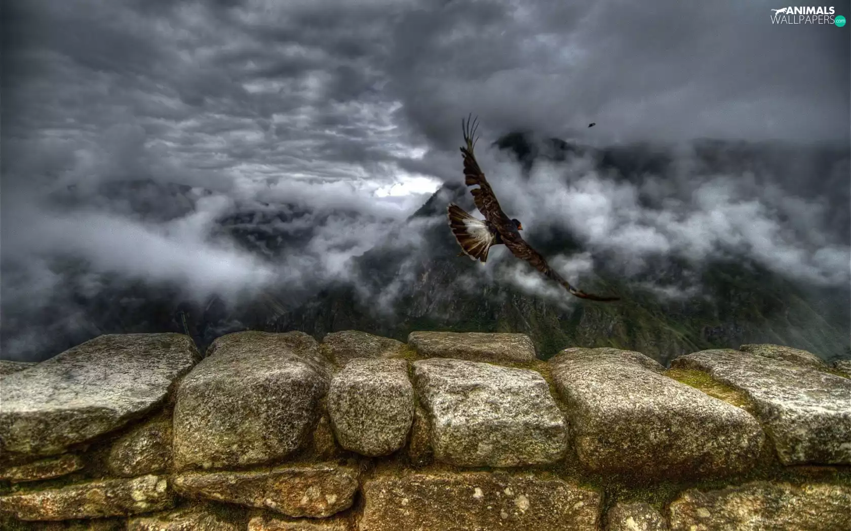 clouds, eagle, Stones