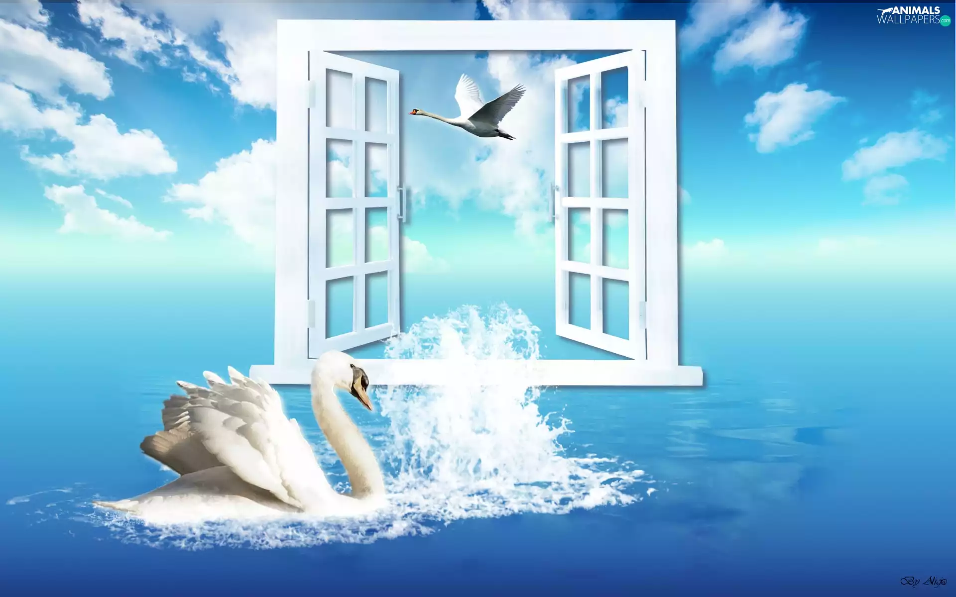 clouds, Swan, Window