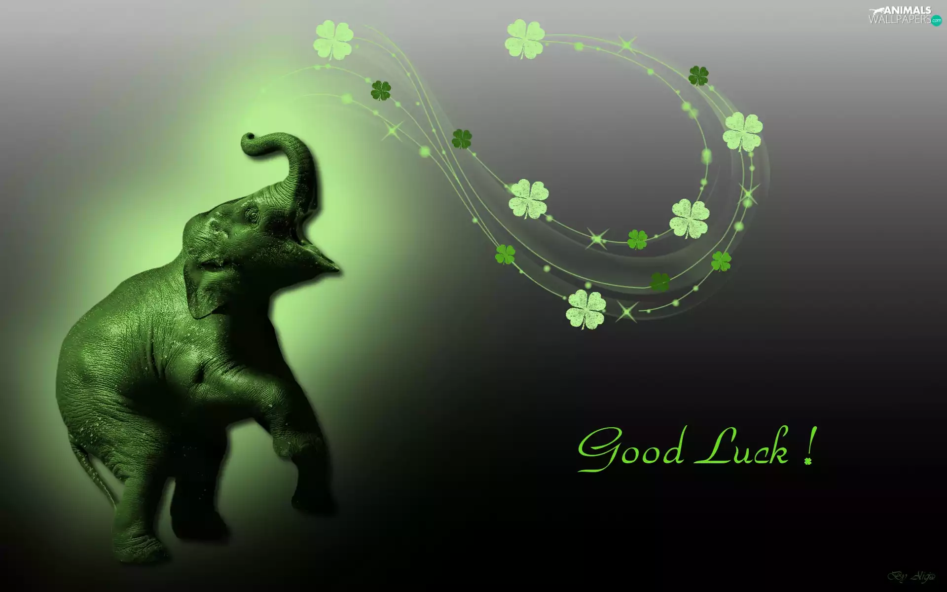 Clovers, Green, Elephant