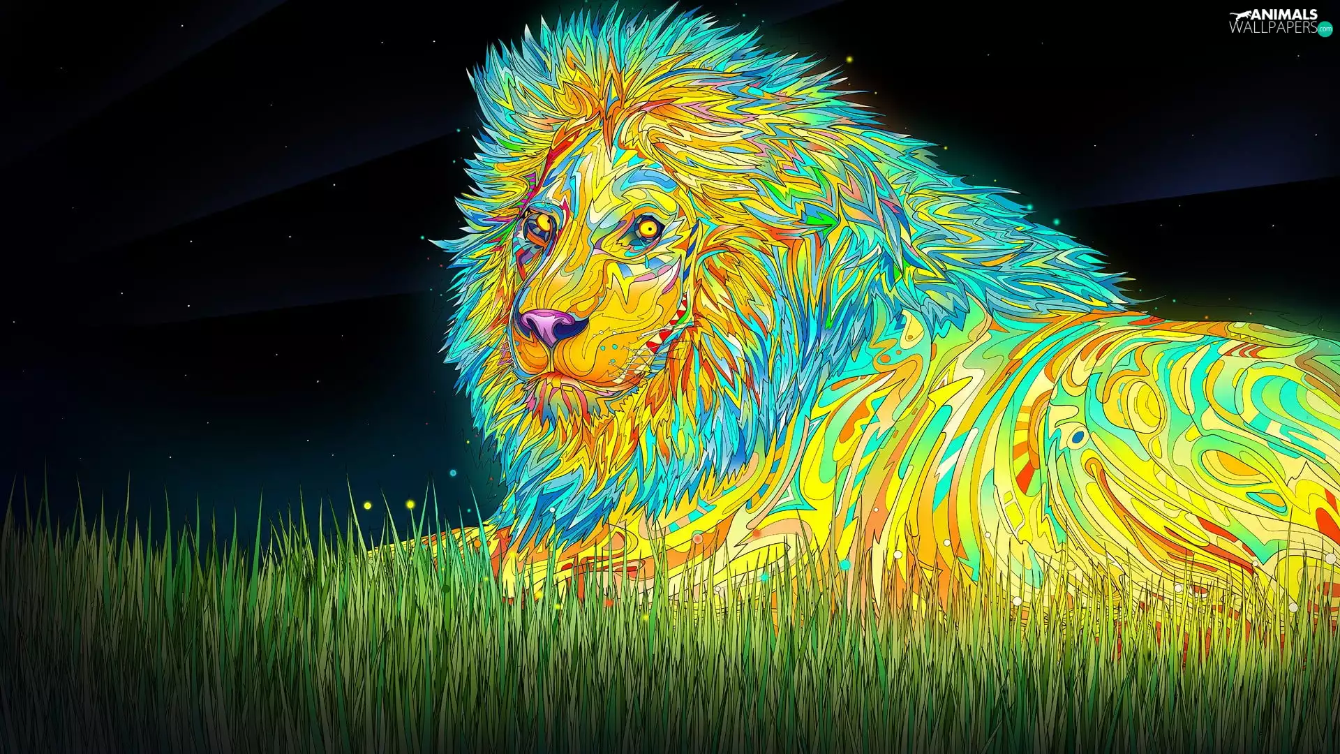 graphics, Lion, grass, color