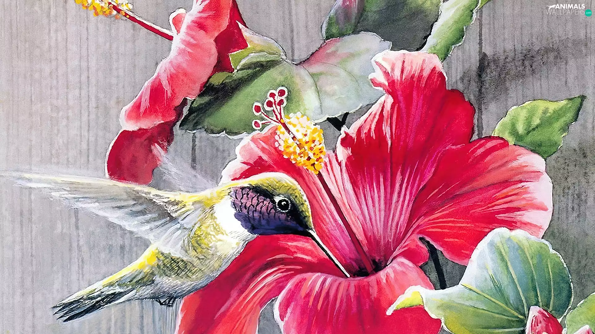 Art, Colourfull Flowers, humming-bird
