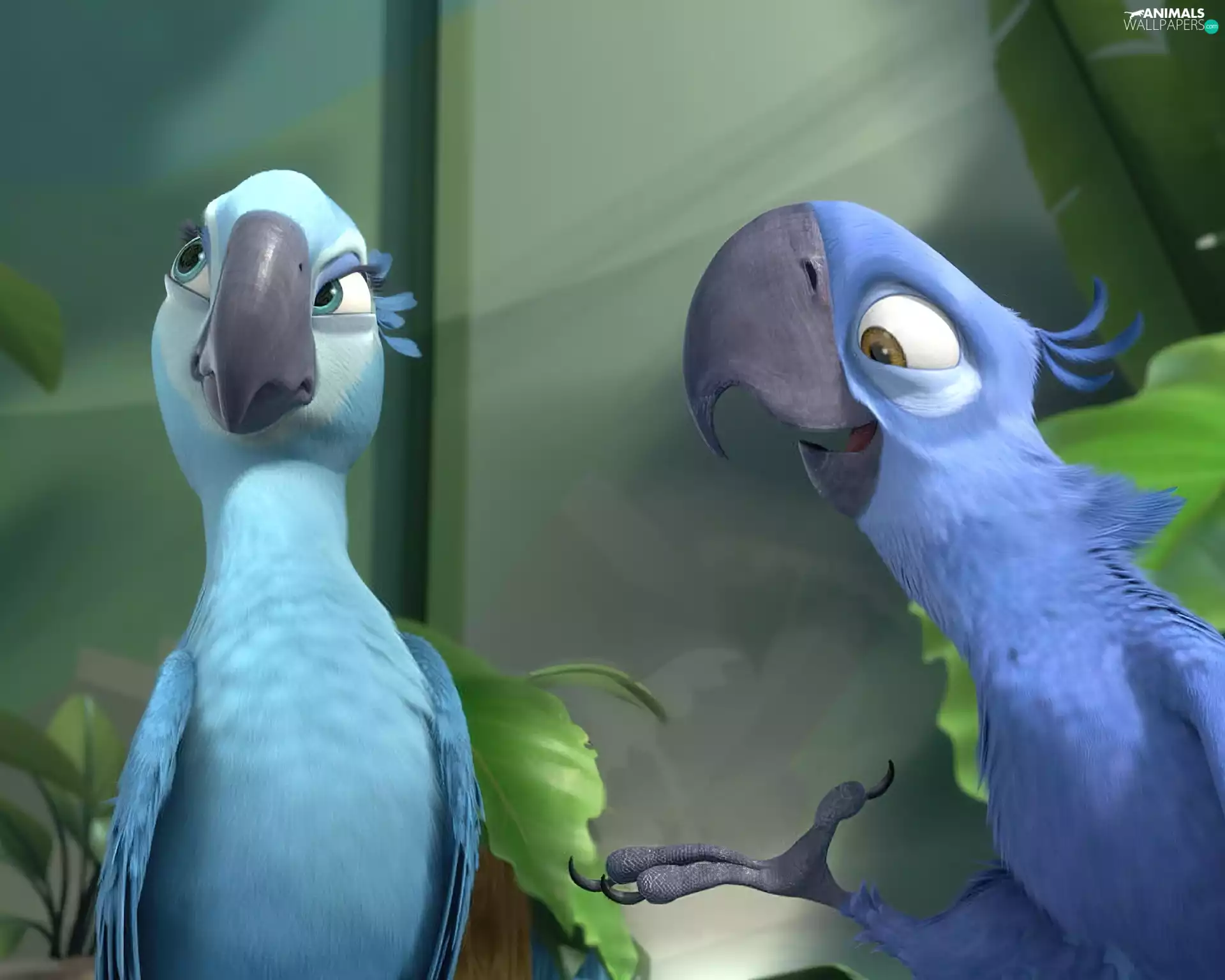 Computer, Parrots, graphics