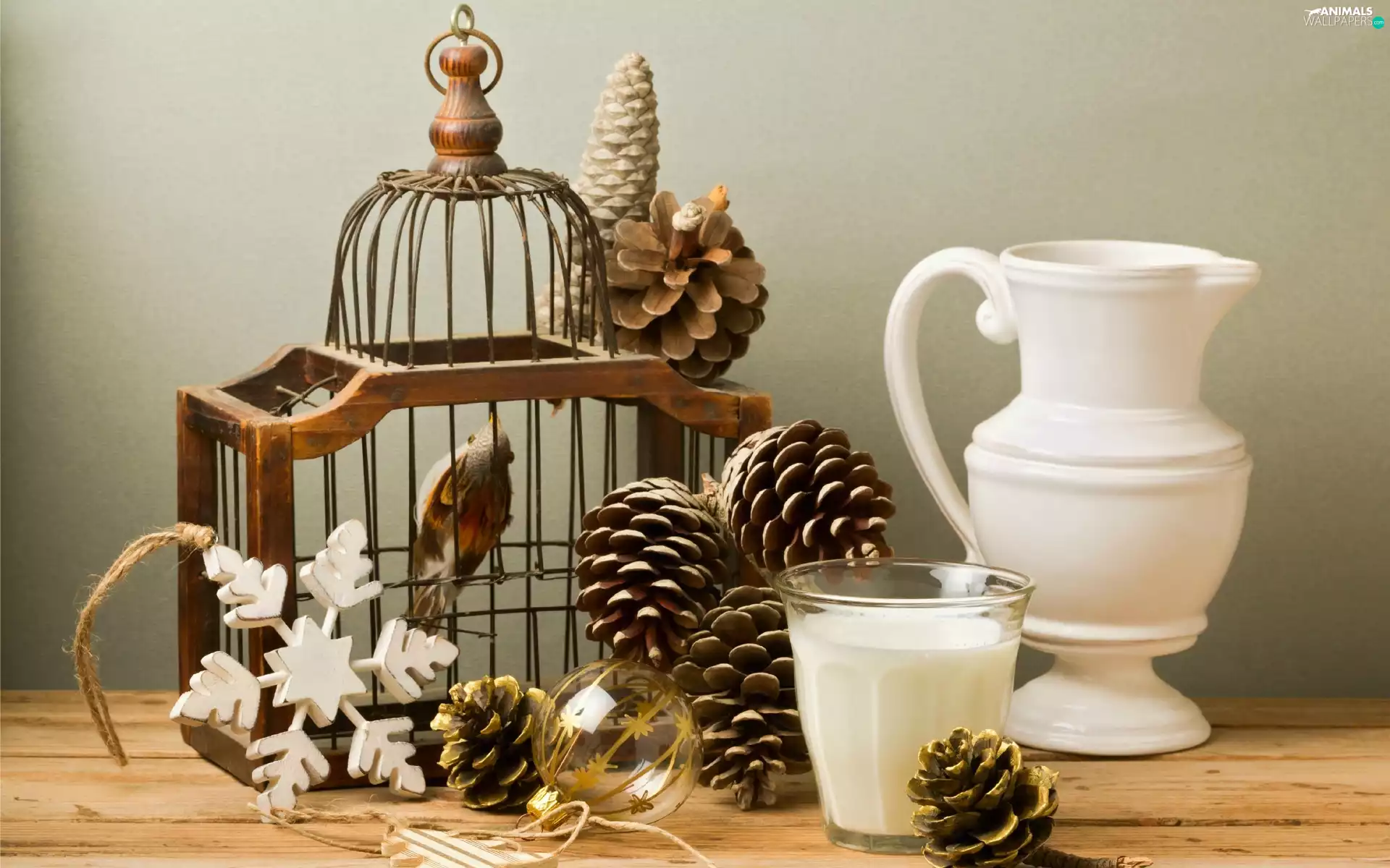 bauble, birdies, decoration, cones, Cage, star, Christmas