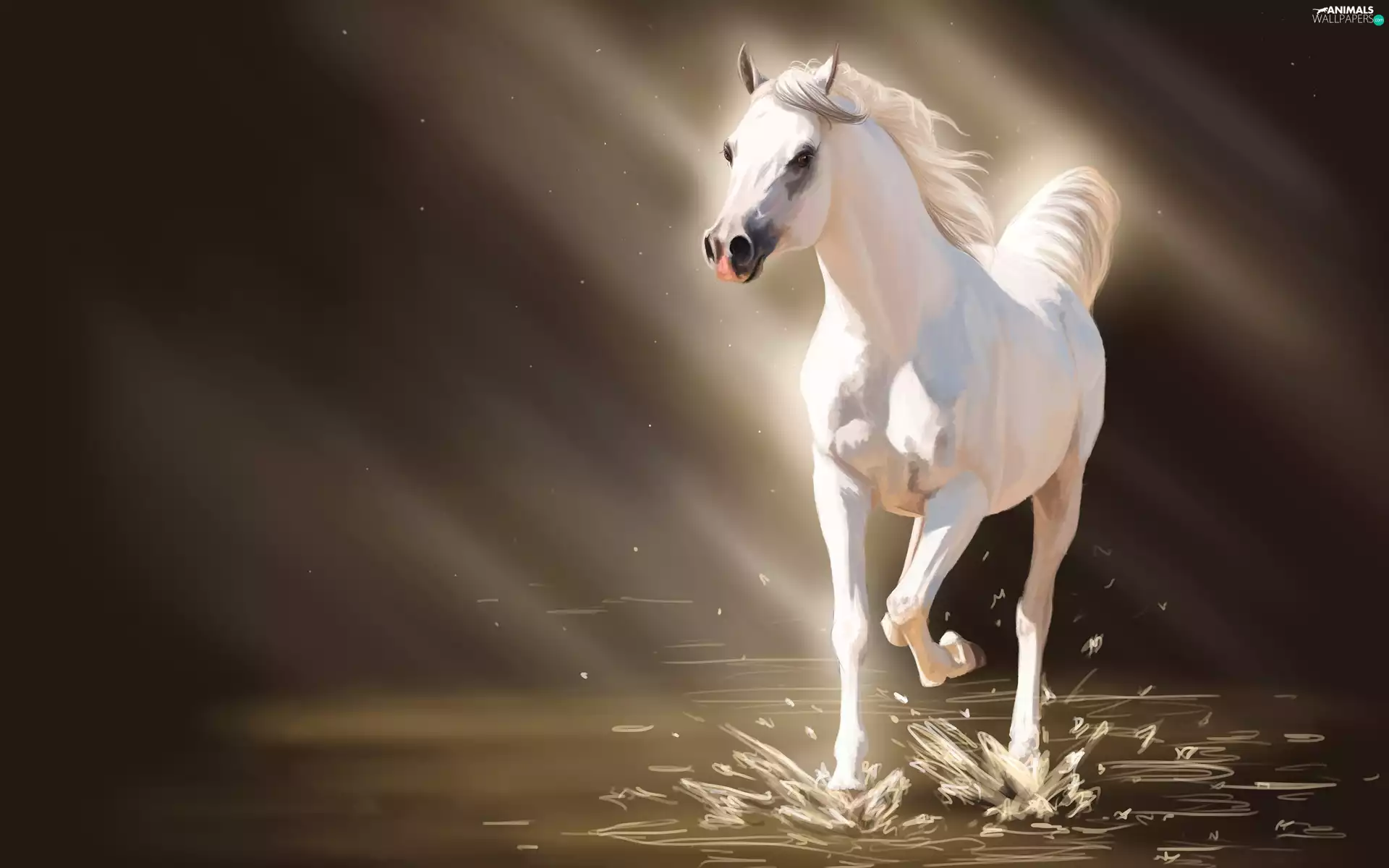 copy, Horse, picture