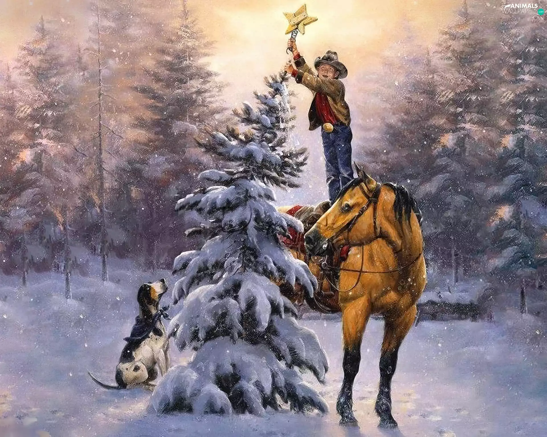boy, starfish, christmas tree, Horse, A snow-covered