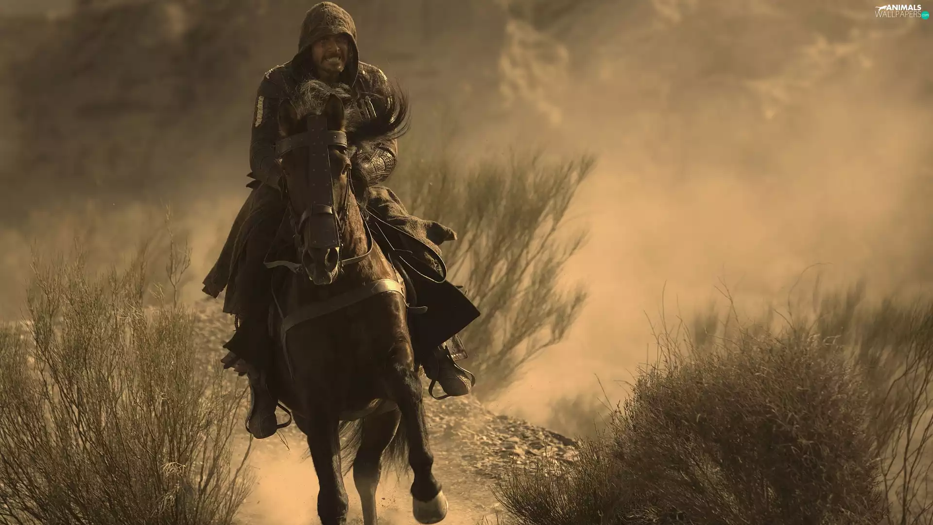 movie, Michael Fassbender, Horse, Assassin’s Creed