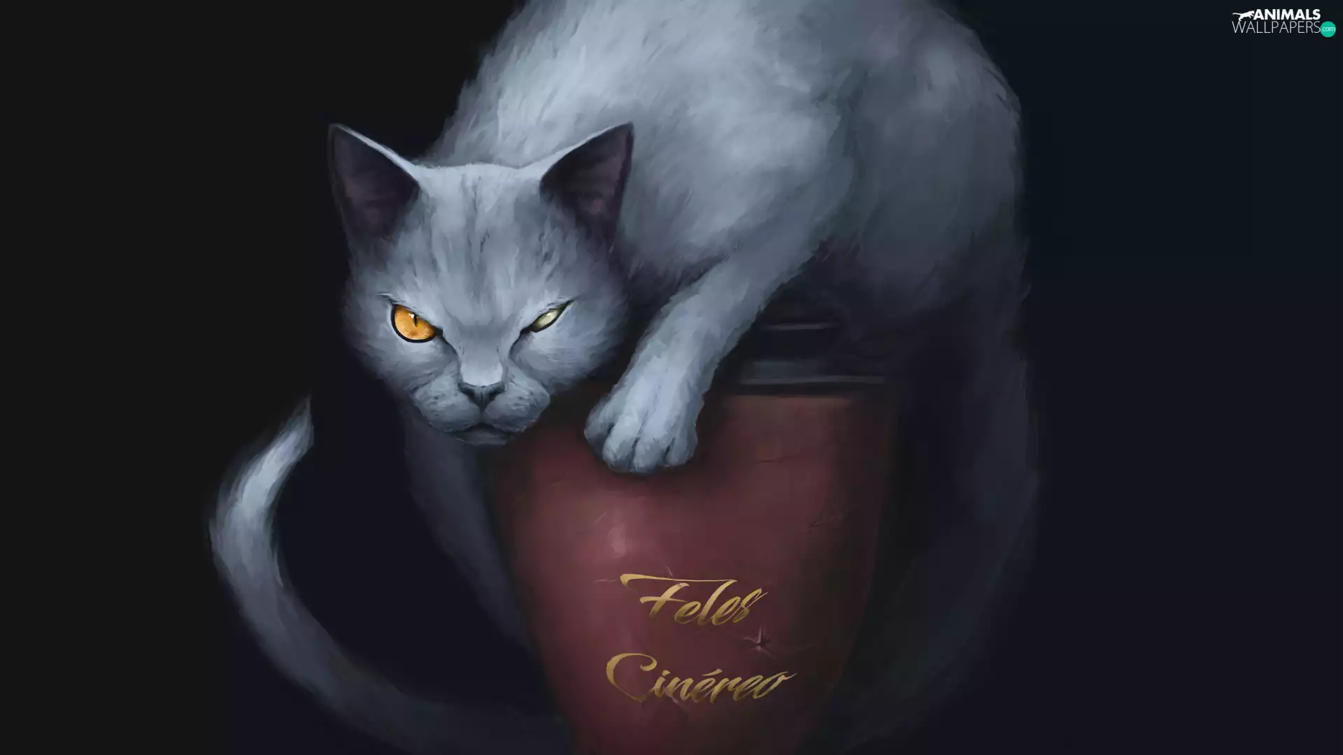 Gray, cat, background, Eyes, Black, bad, graphics, Cup