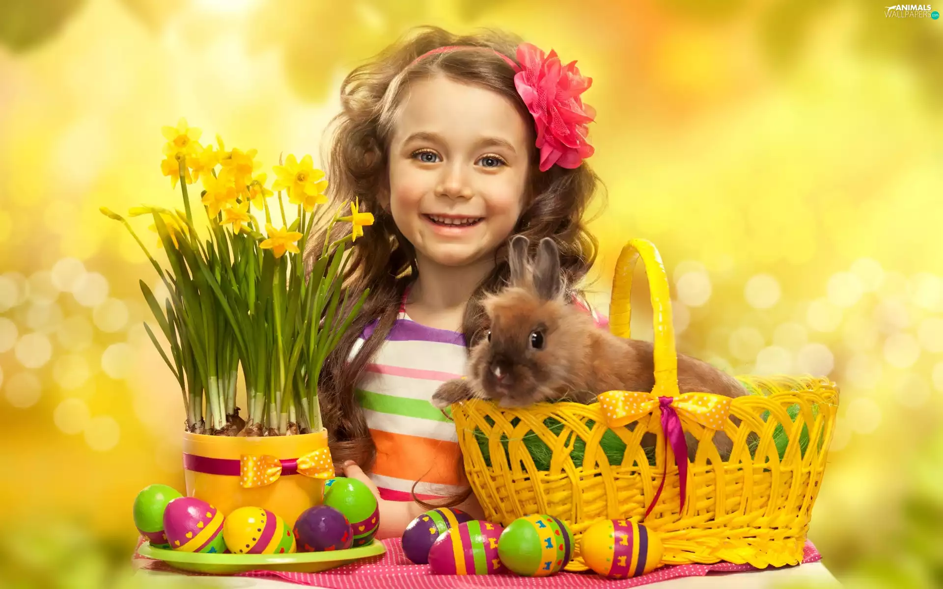 girl, Easter, Rabbit, Daffodils, basket, eggs