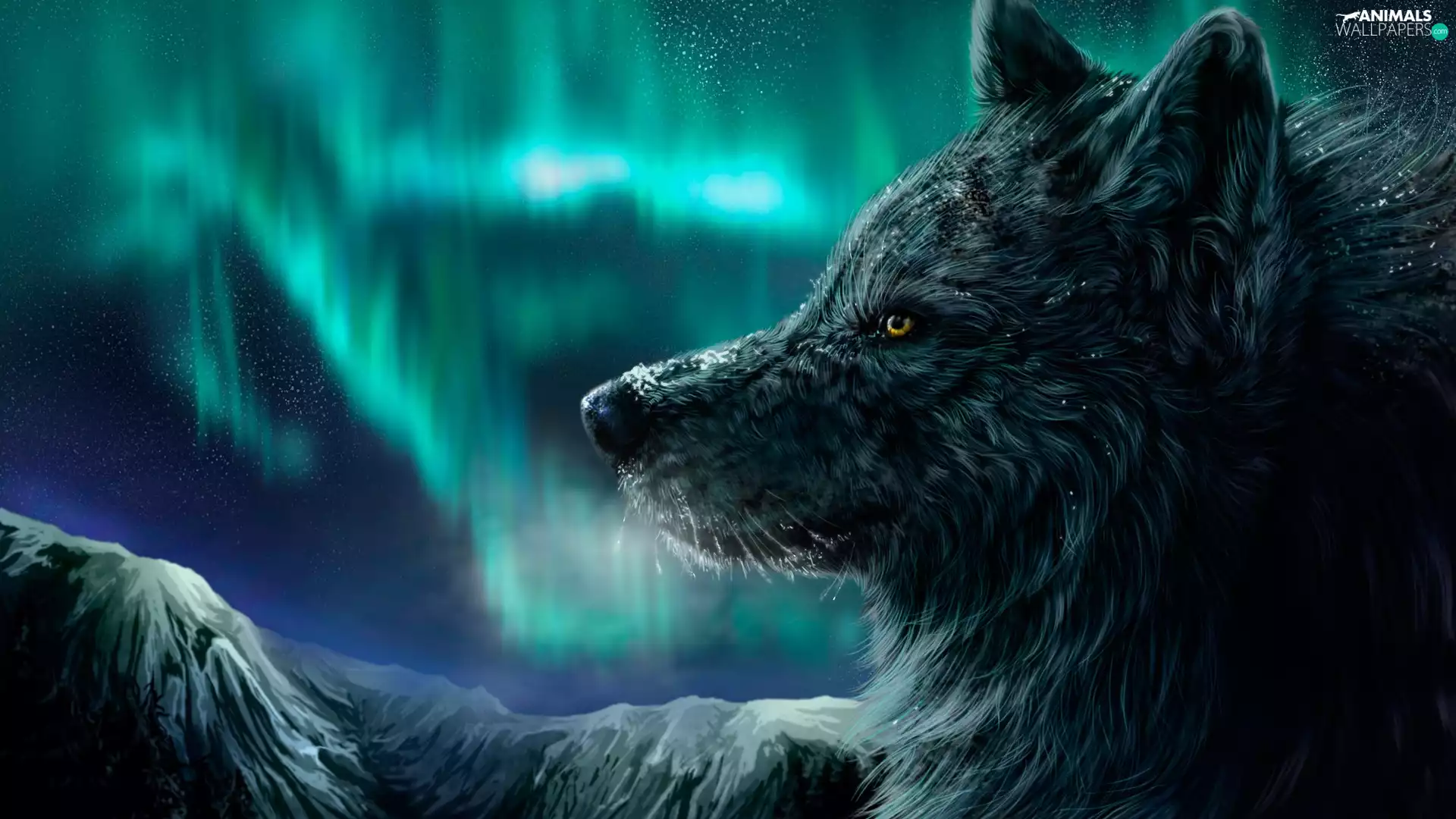 Wolf, Polaris, Mountains, dawn