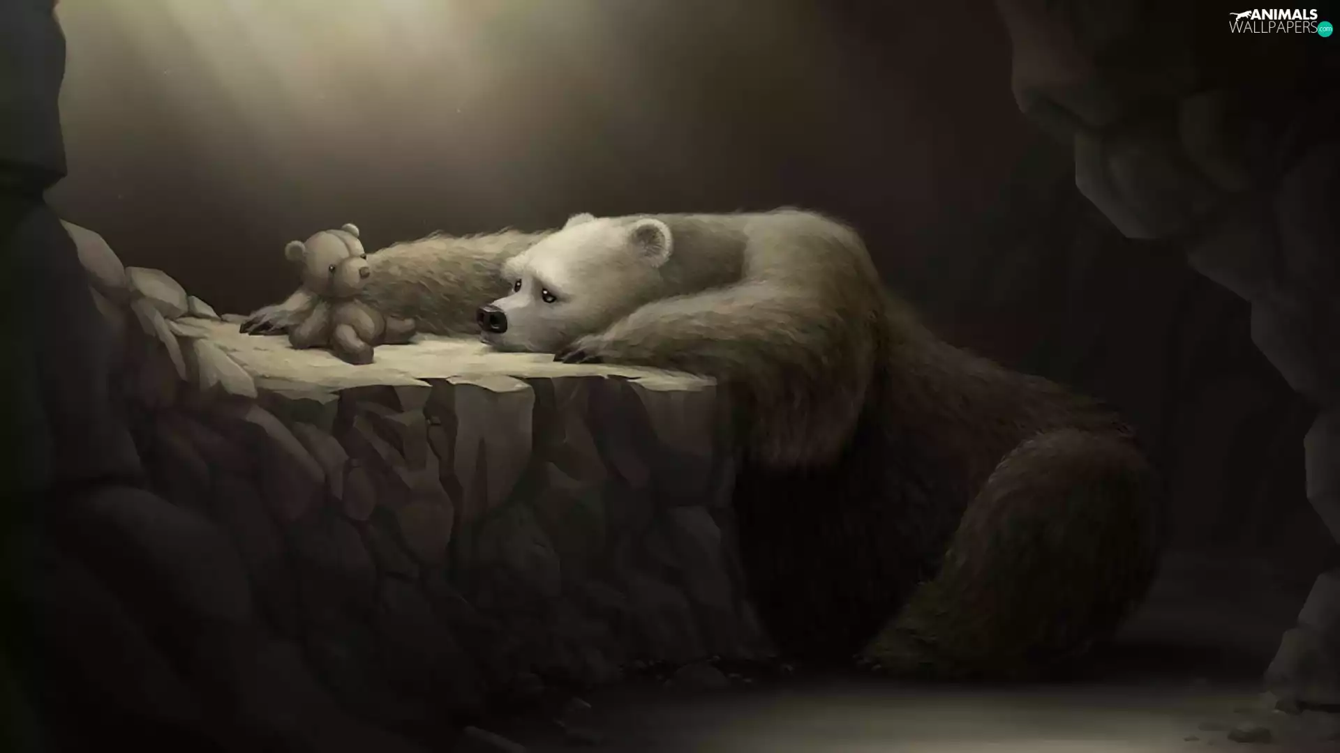 Bear, plush, bear, DBZ