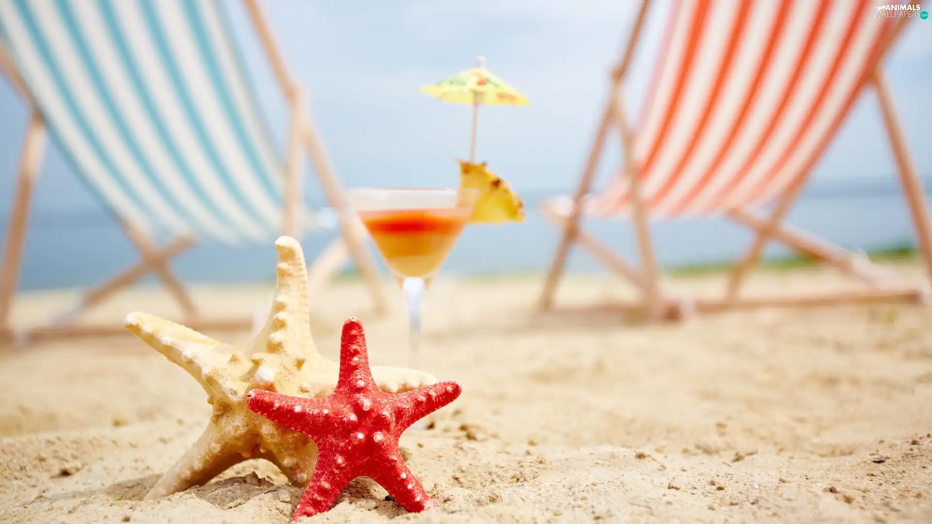 Sand, Beaches, Drink, deck chair, starfish