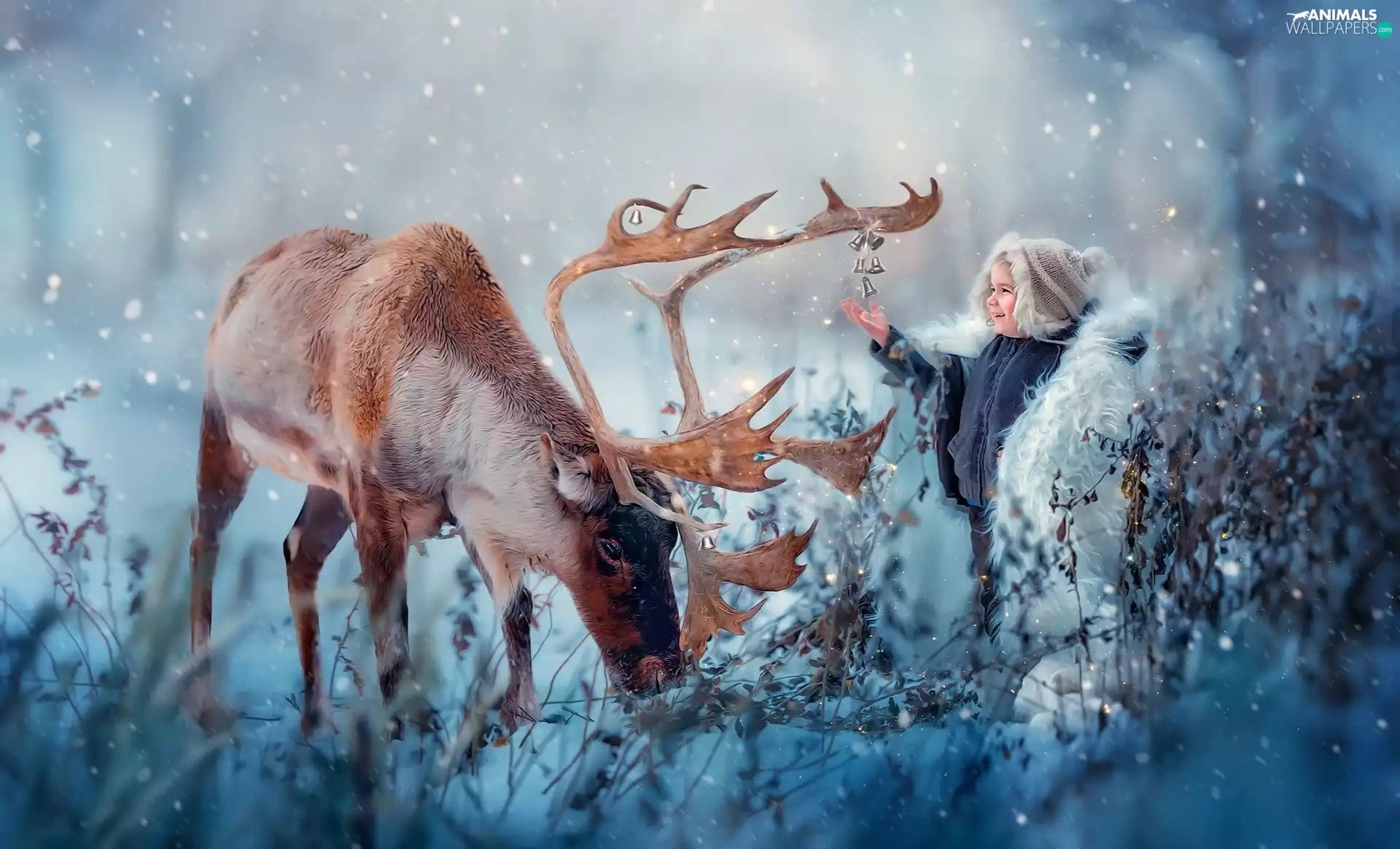 deer, winter, Kid
