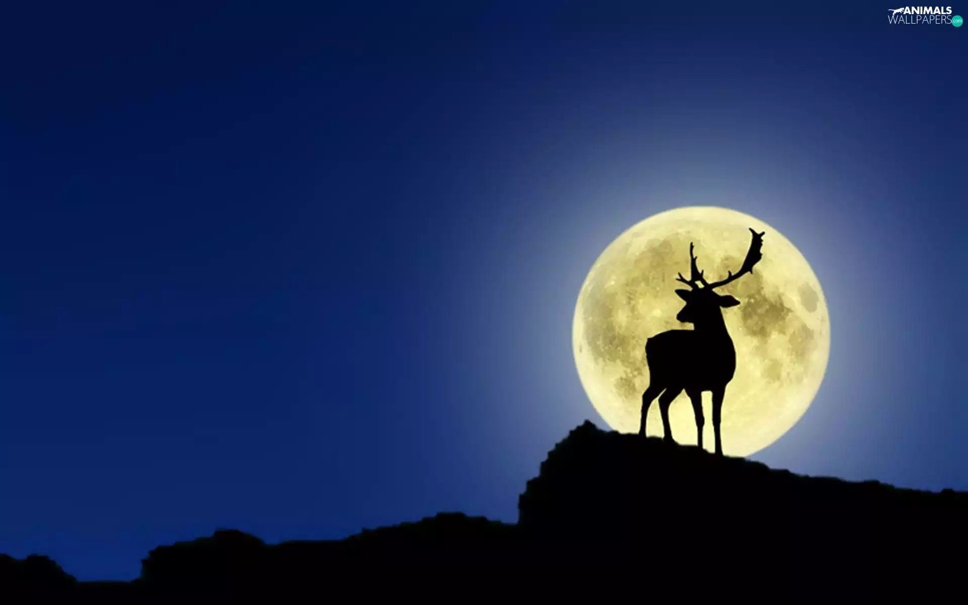 deer, moon
