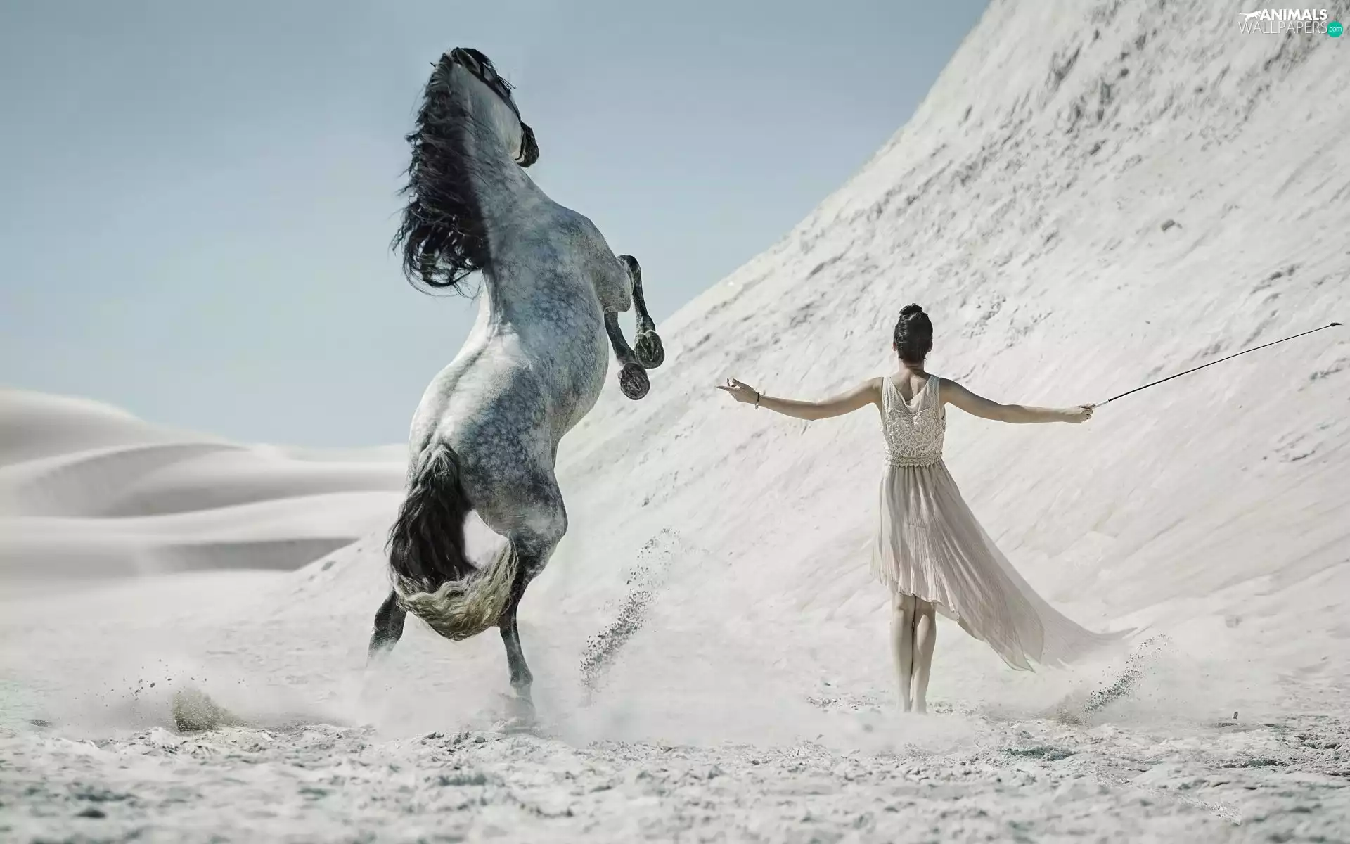 Desert, Women, Horse