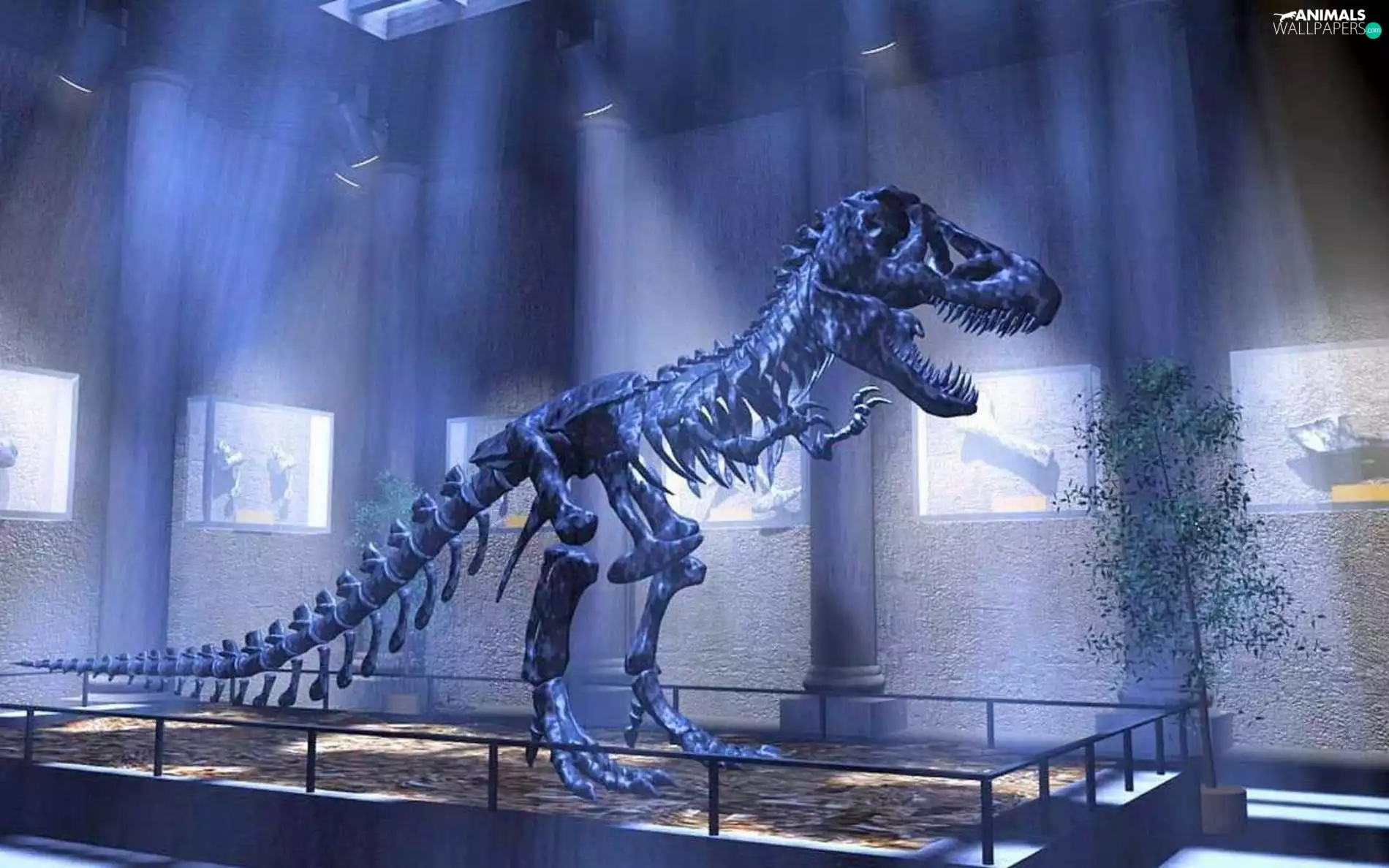 dinosaur, exhibition, skeleton