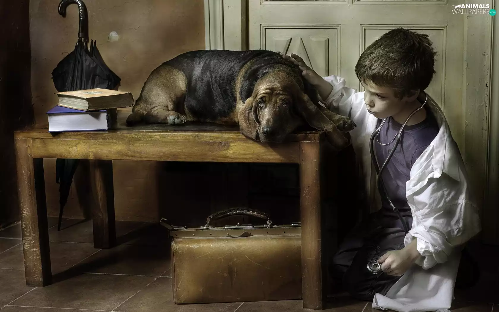 Table, dog, Umbrella, doctor, boy, Books, bag